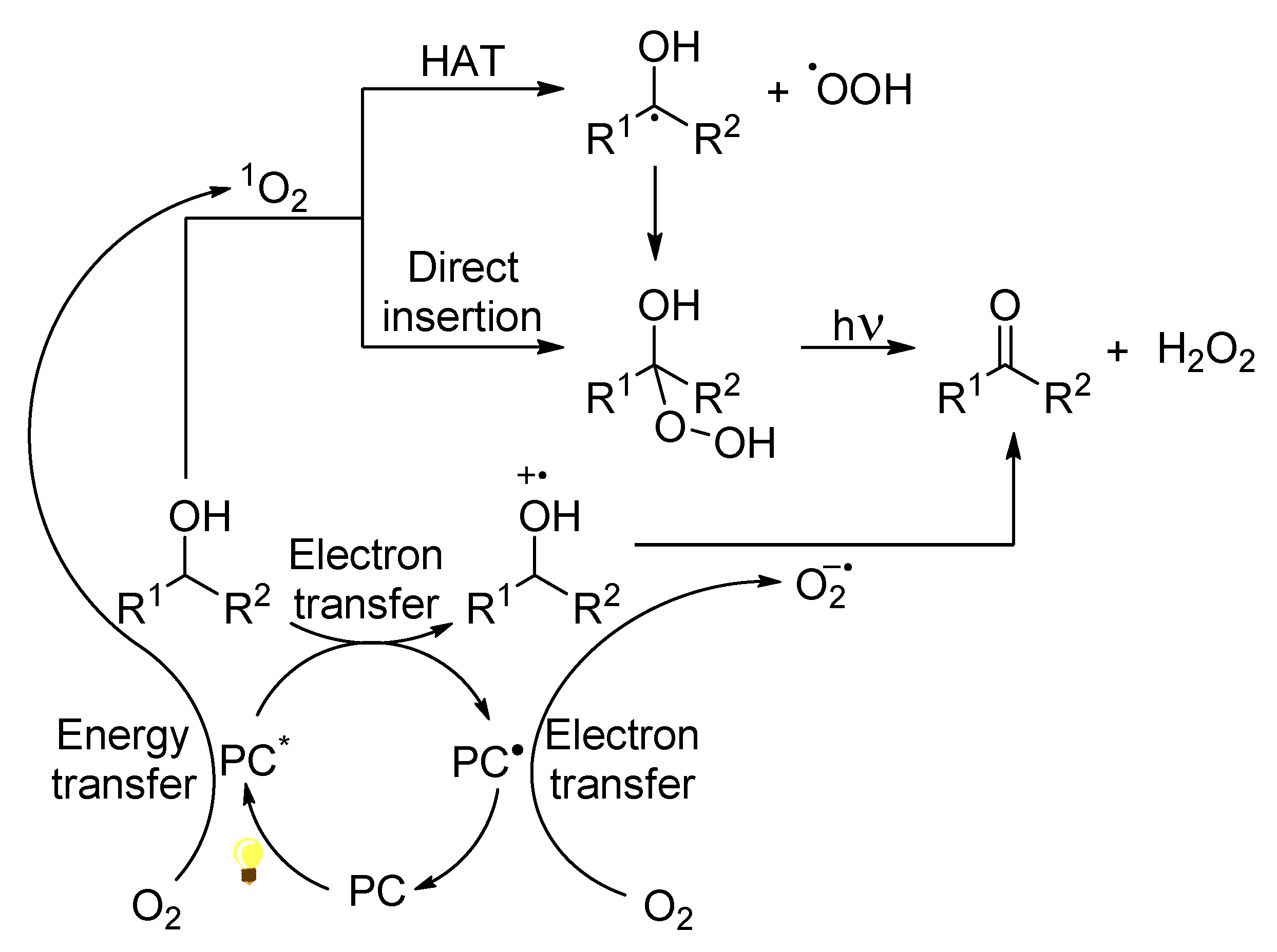 Molecules 27 00497 sch016 550