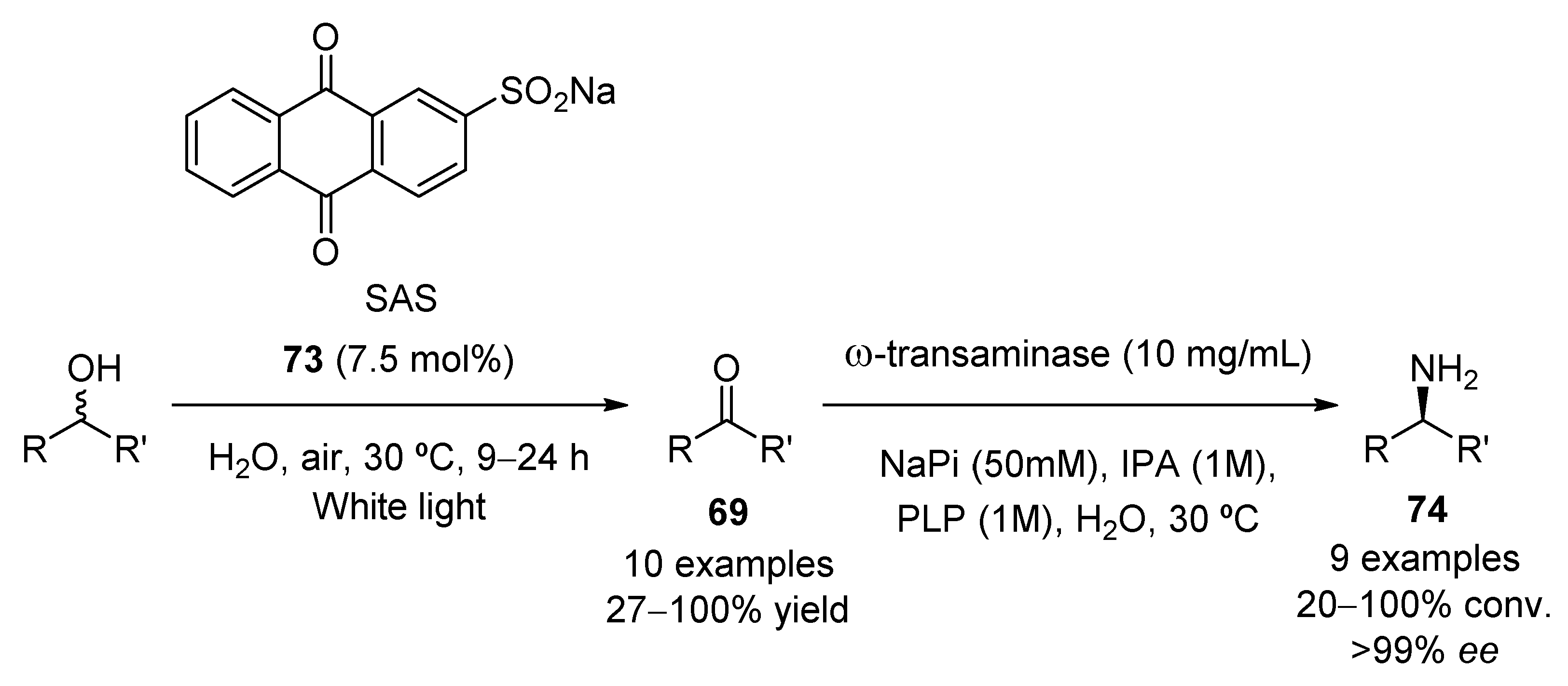 Molecules 27 00497 sch019 550