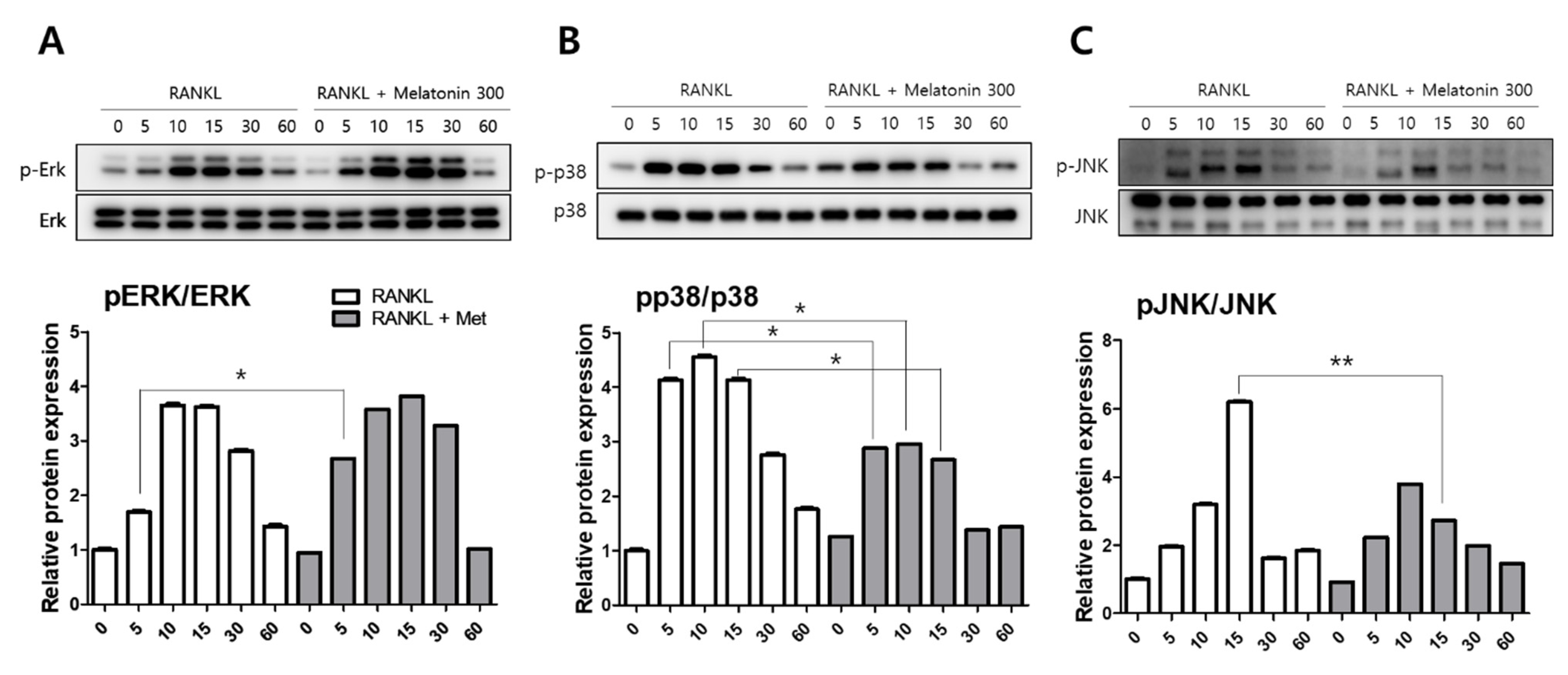 Molecules 27 00501 g002