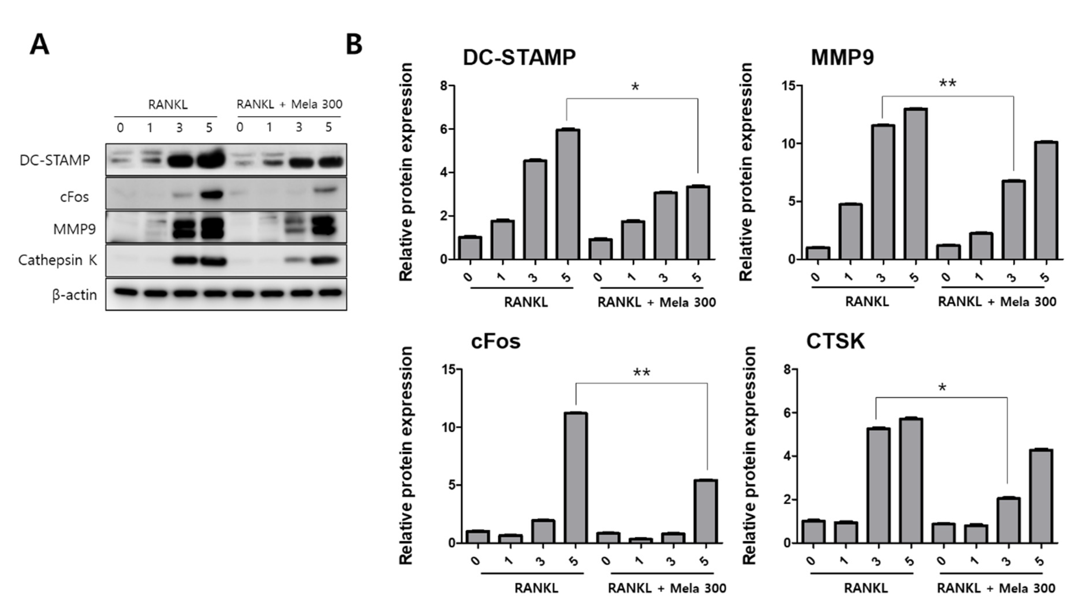 Molecules 27 00501 g004