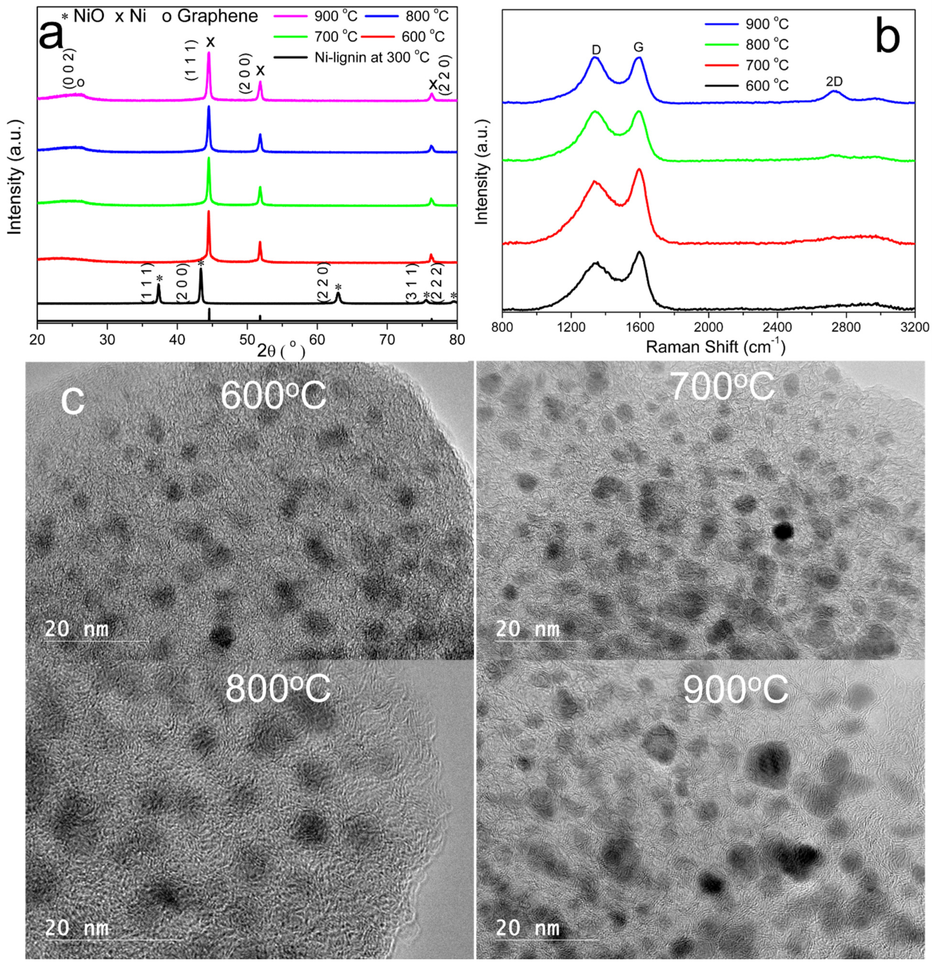 Molecules 27 00503 g002