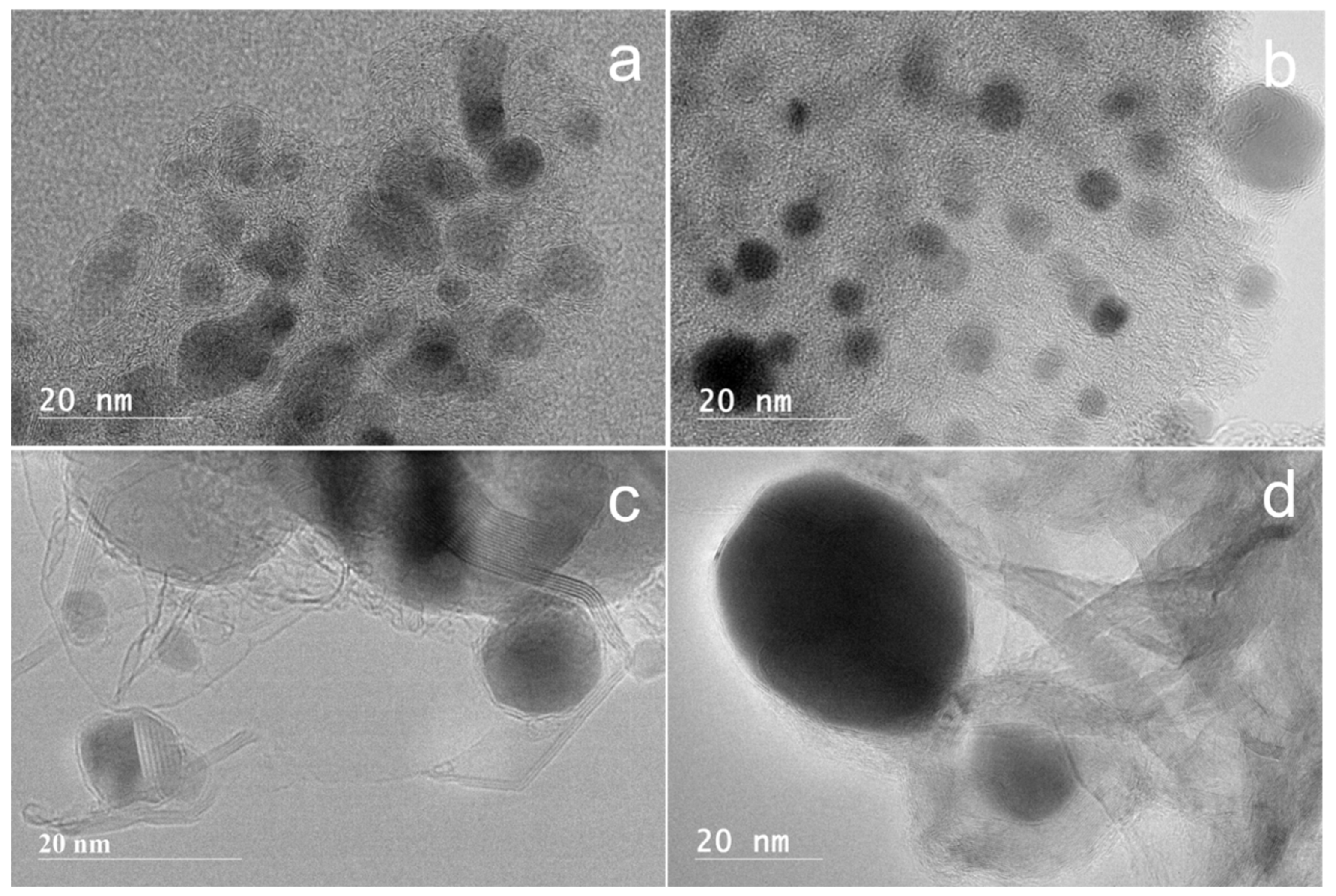 Molecules 27 00503 g010