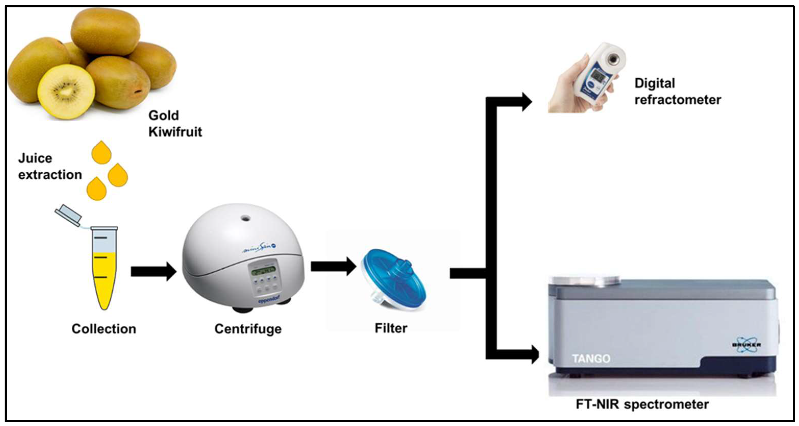 Molecules 27 00504 g001