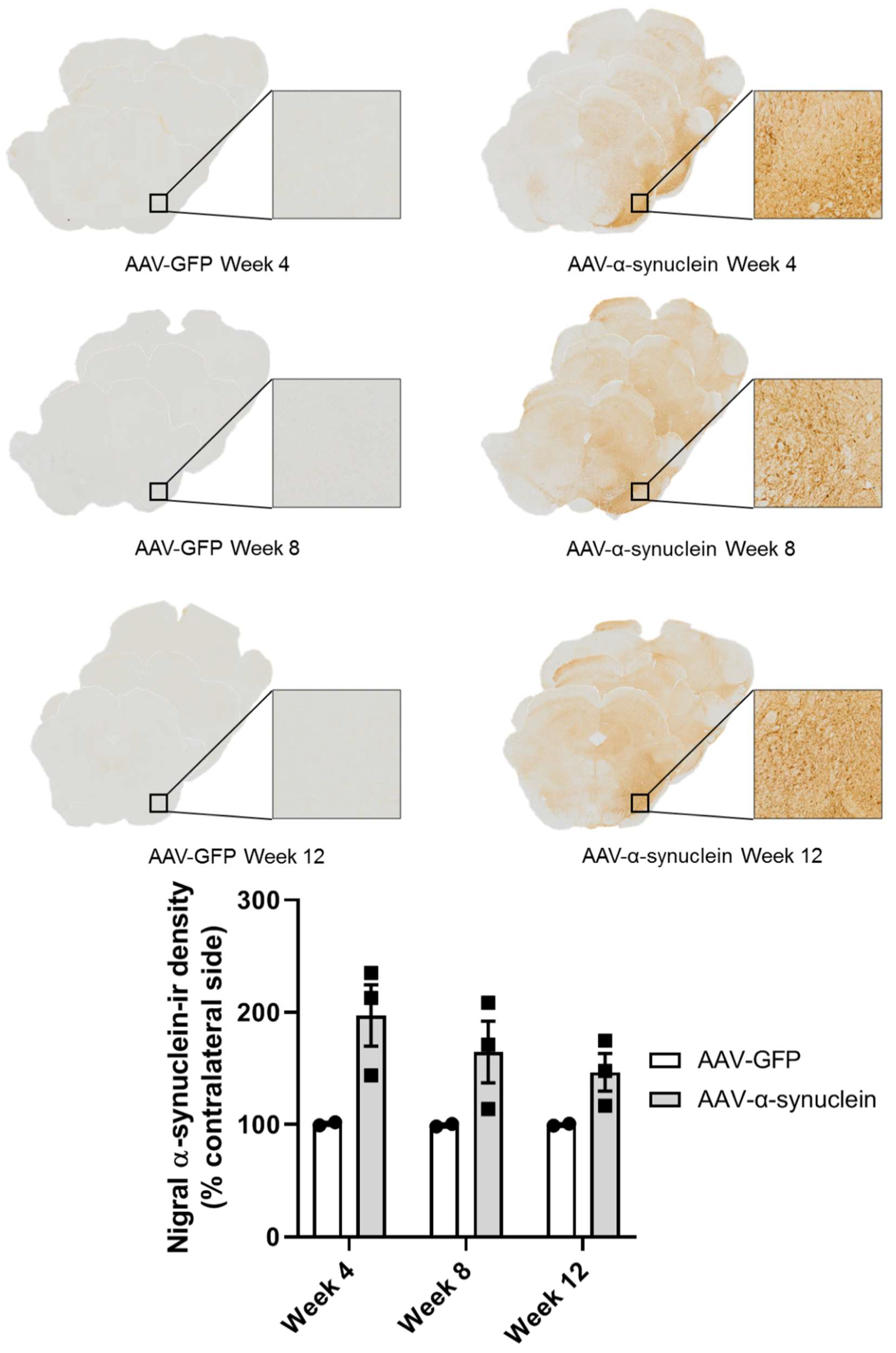 Molecules 27 00507 g001 Molecules 27 00507 g001