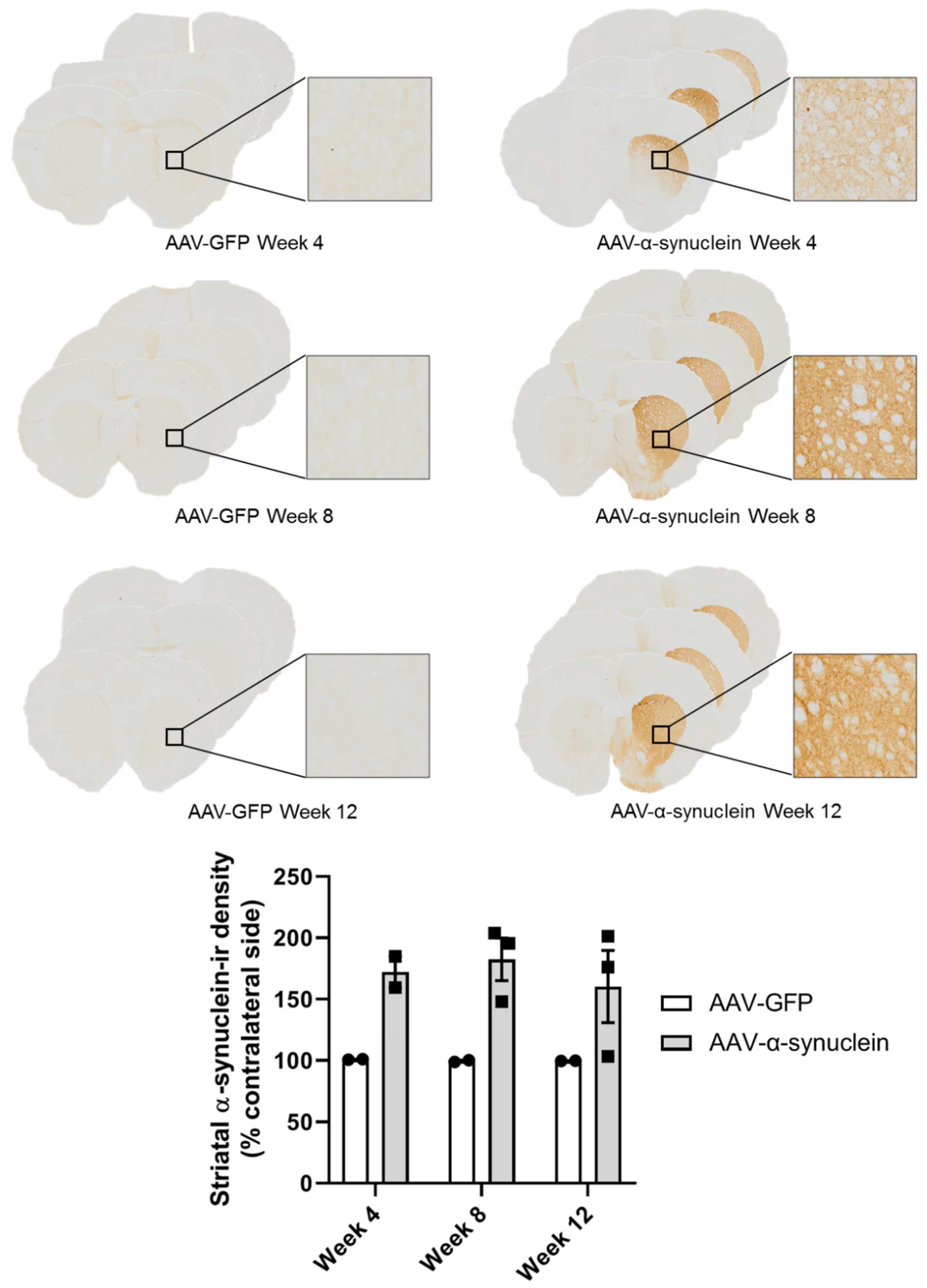 Molecules 27 00507 g002 Molecules 27 00507 g002