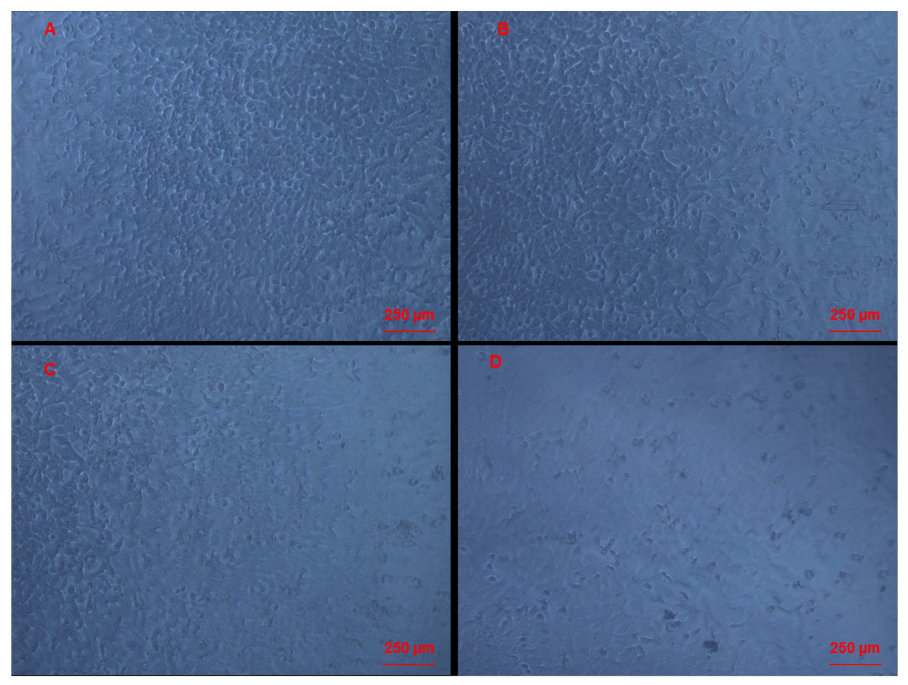 Molecules 27 00510 g004 550