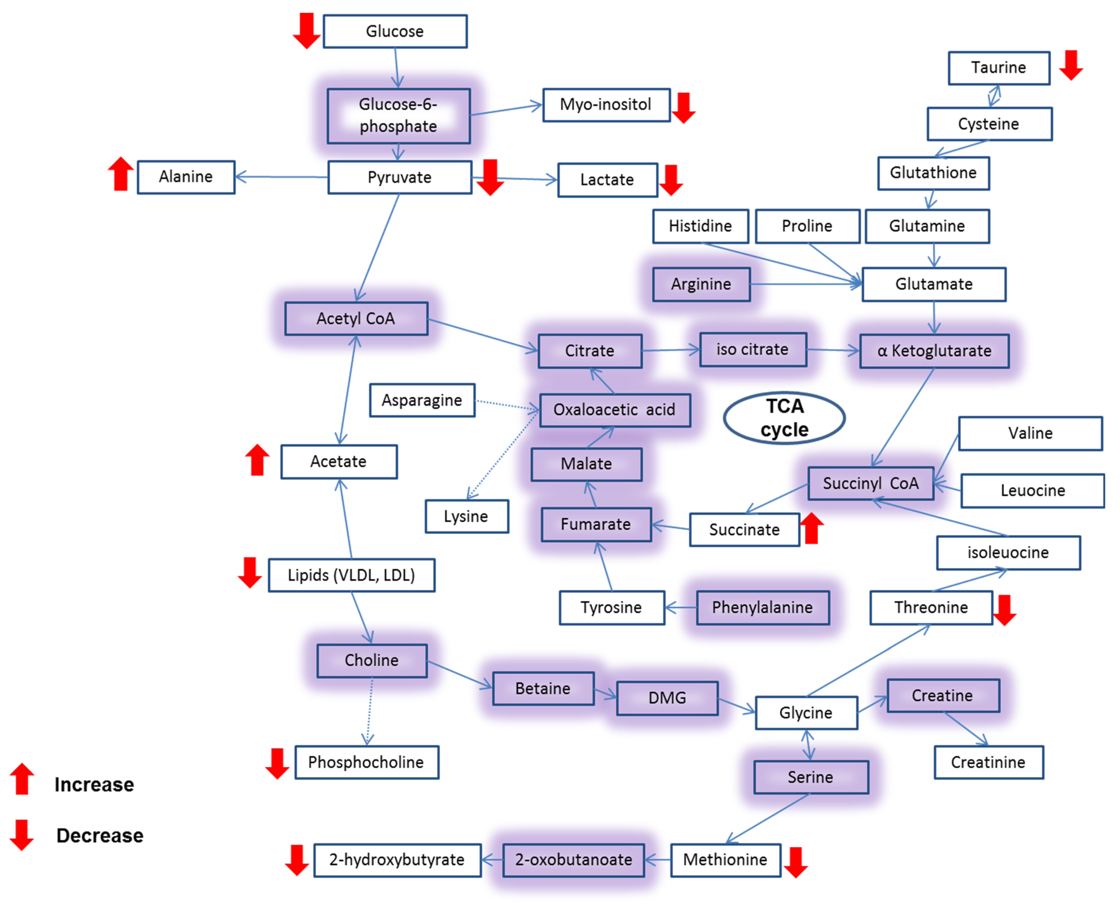 Molecules 27 00510 g008 550
