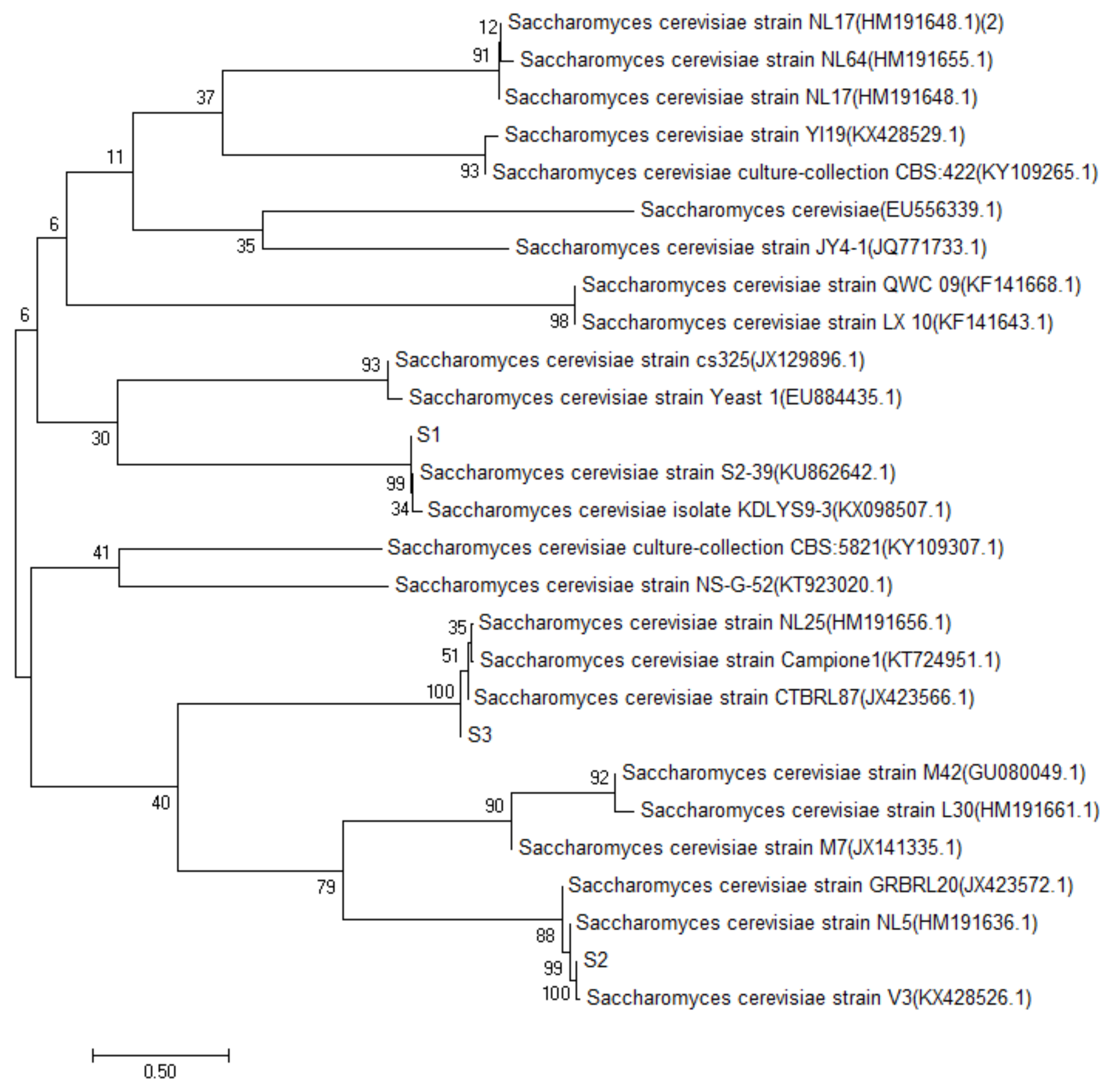 Molecules 27 00512 g002