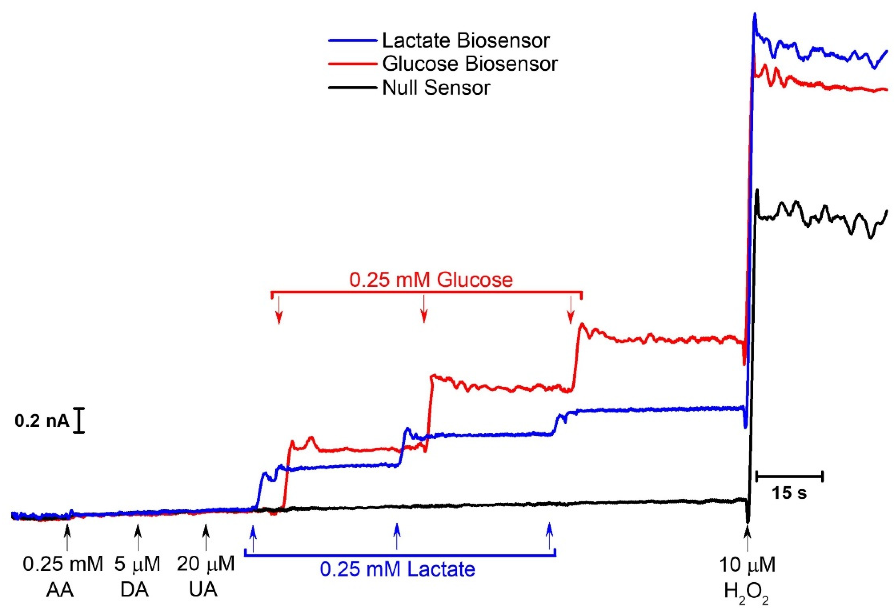 Molecules 27 00514 g004 Molecules 27 00514 g004