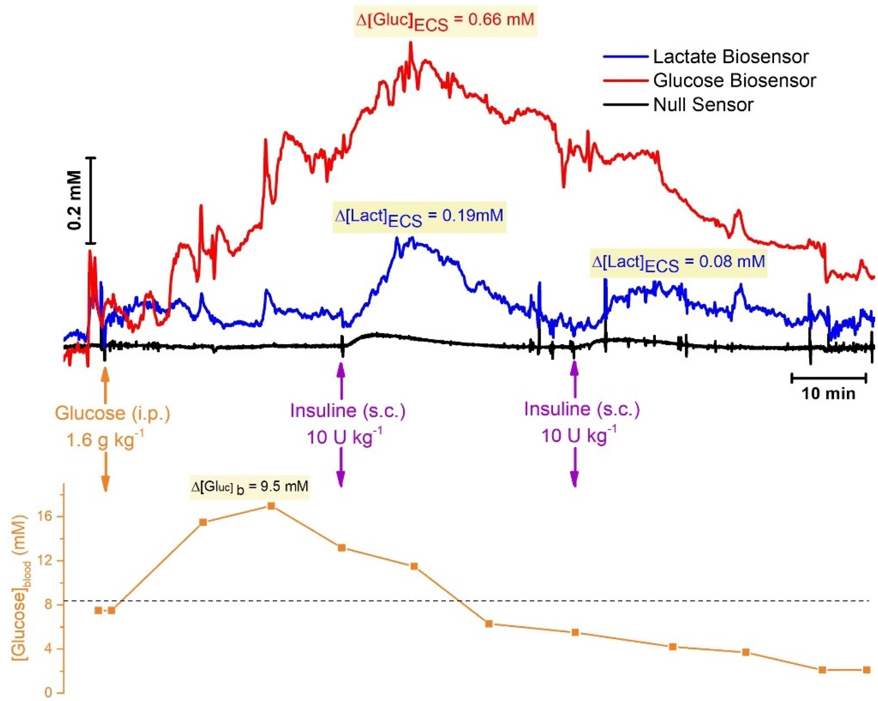 Molecules 27 00514 g006 Molecules 27 00514 g006