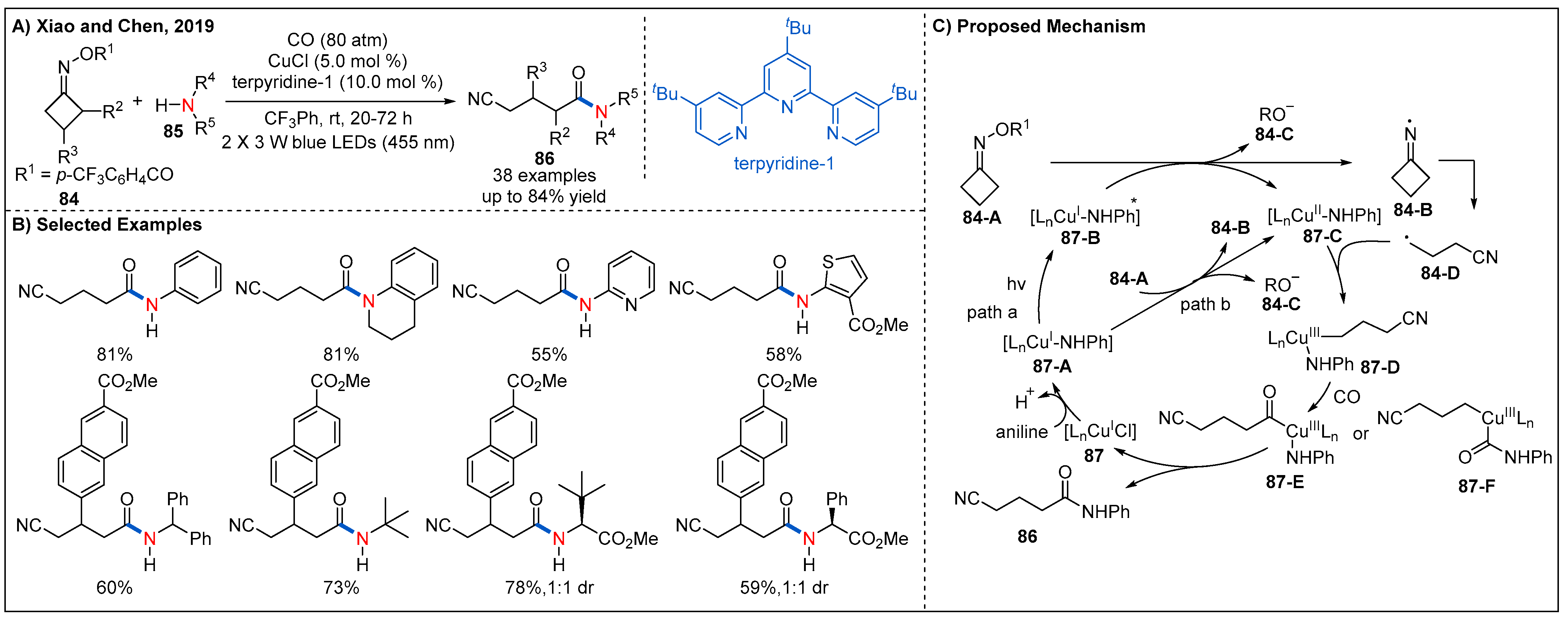 Molecules 27 00517 g027 550