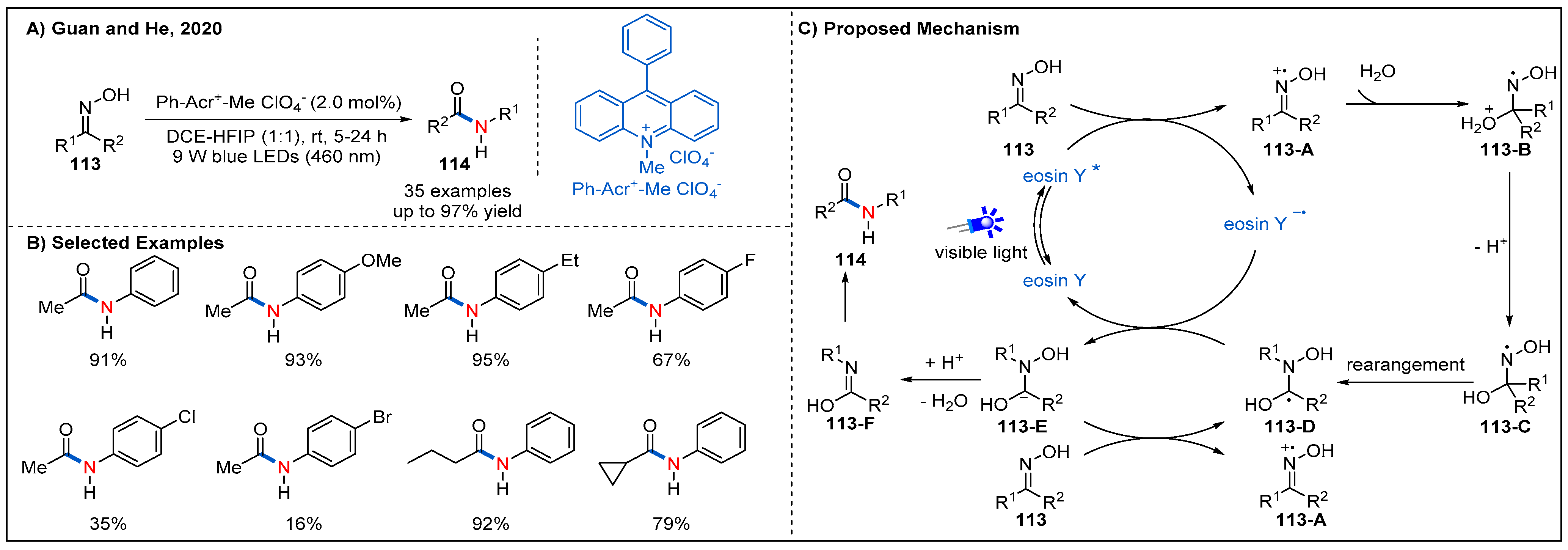 Molecules 27 00517 g034 550