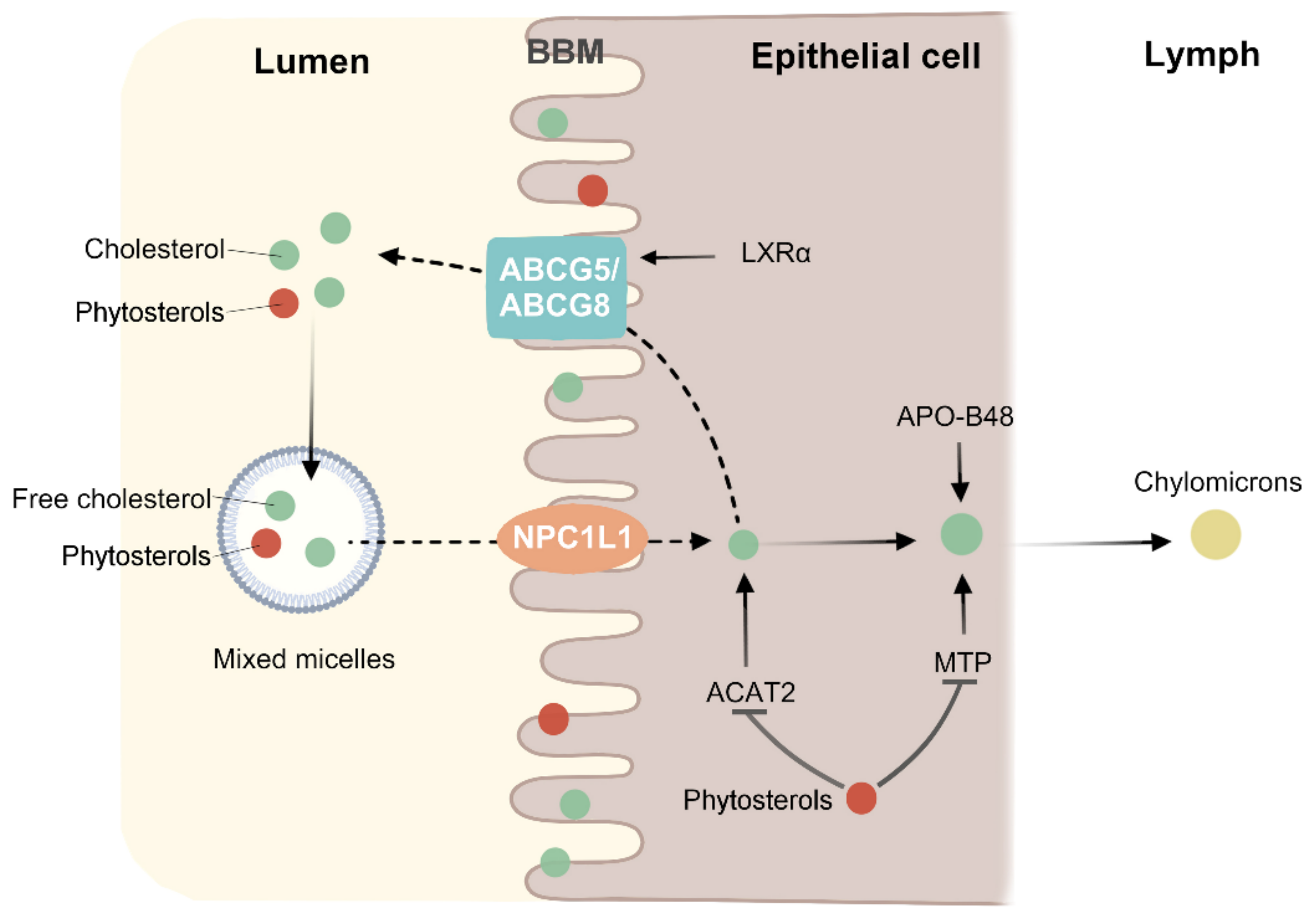 Molecules 27 00523 g003 Molecules 27 00523 g003