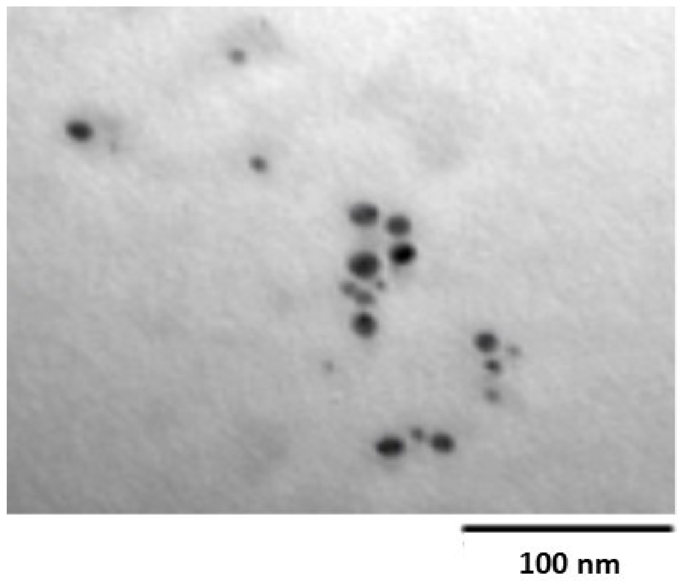 Molecules 27 00528 g002 Molecules 27 00528 g002