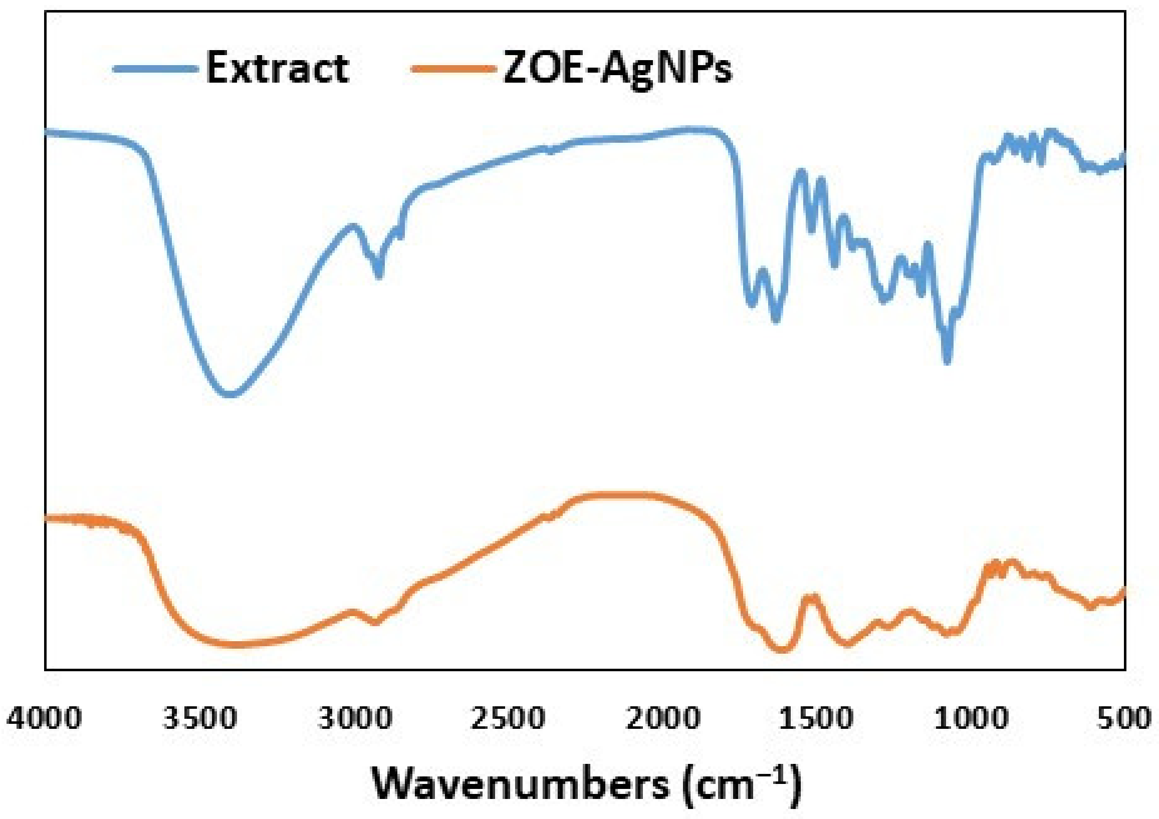 Molecules 27 00528 g004 Molecules 27 00528 g004
