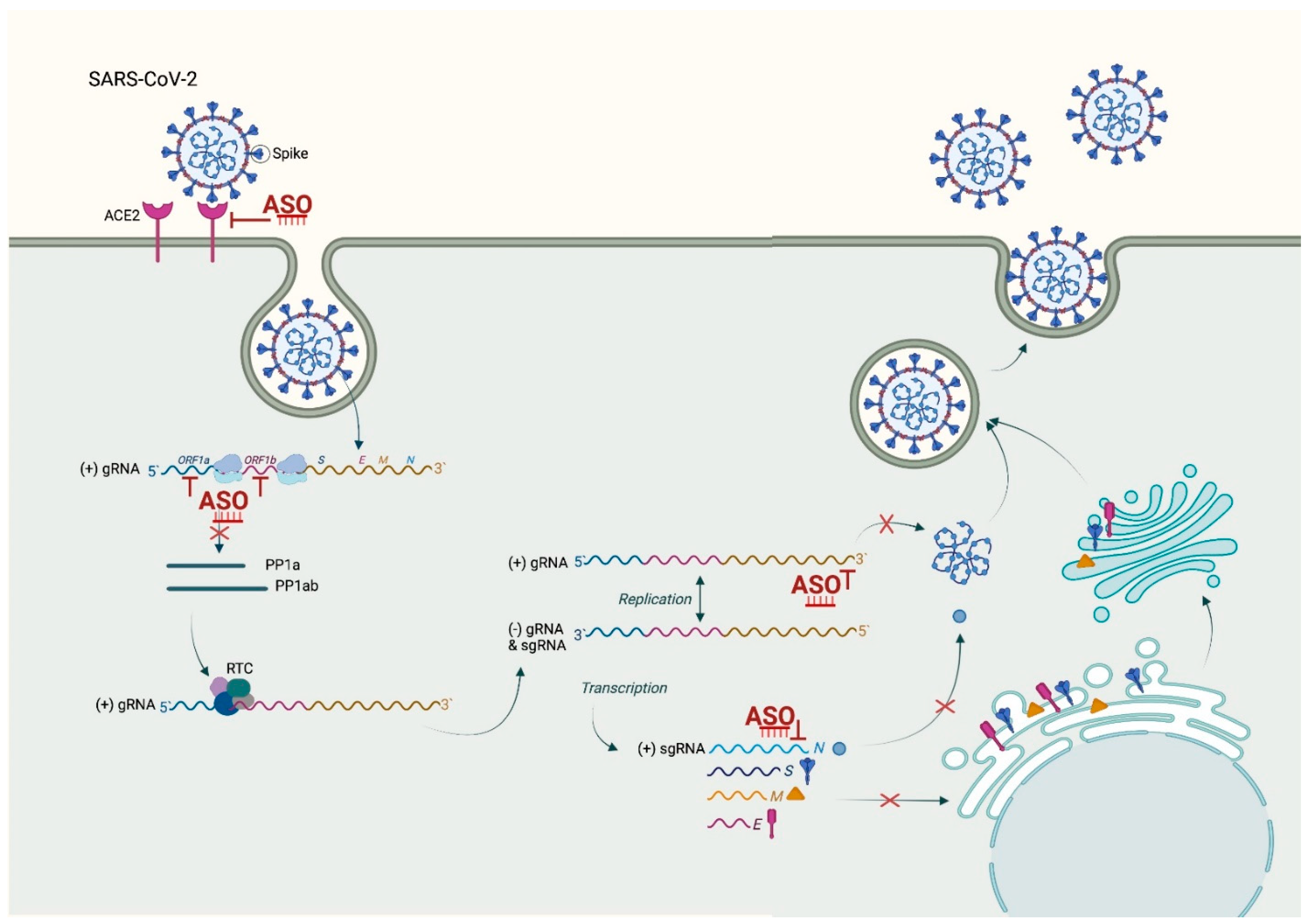 Molecules 27 00536 g002