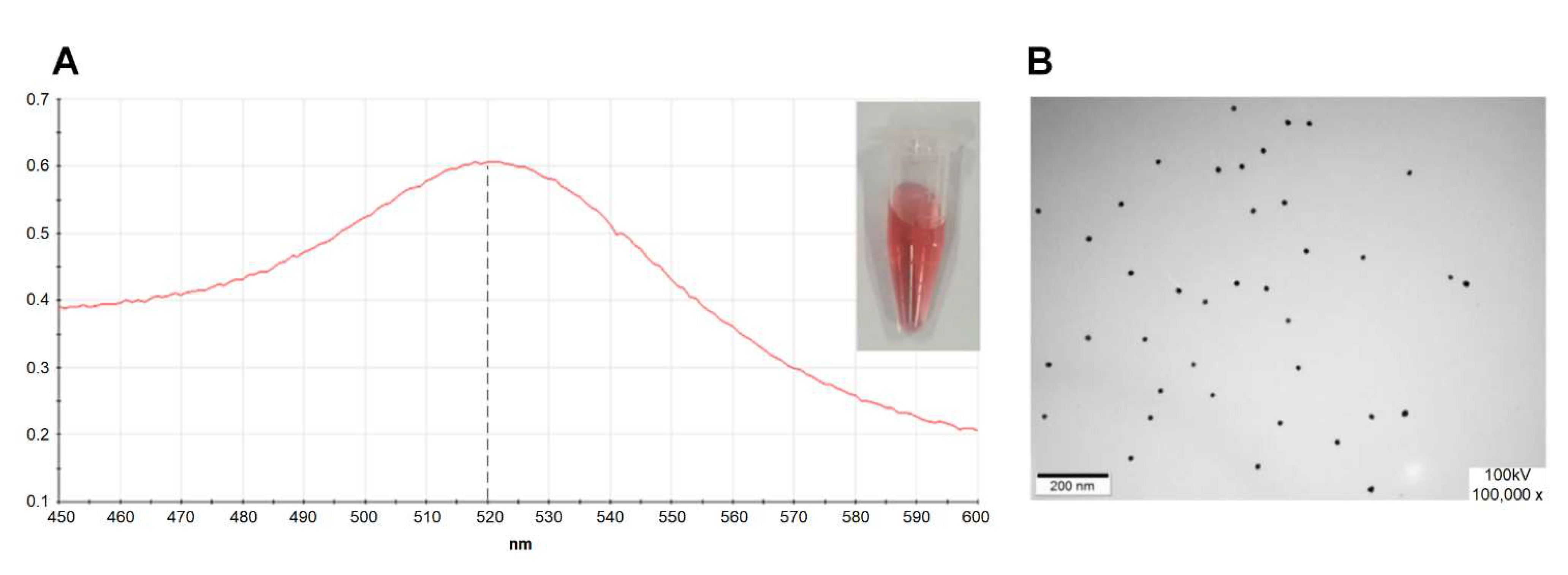 Molecules 27 00538 g007
