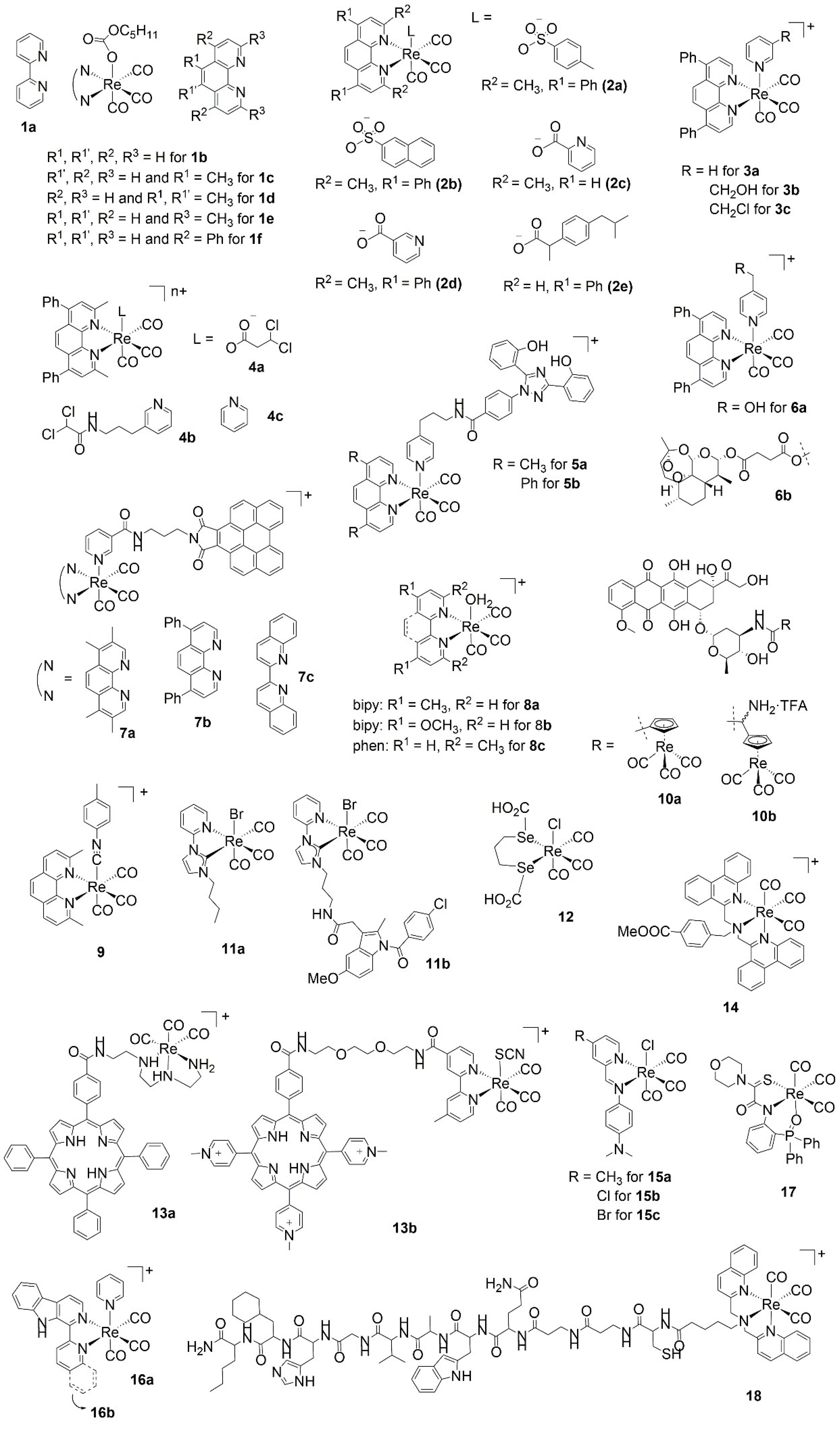 Molecules 27 00539 g001