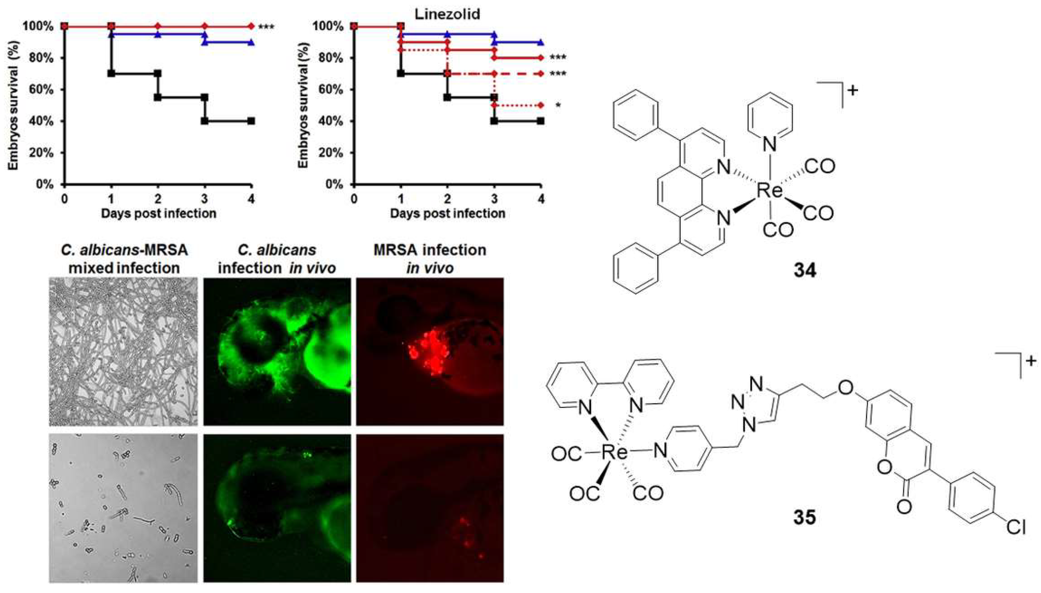 Molecules 27 00539 g008