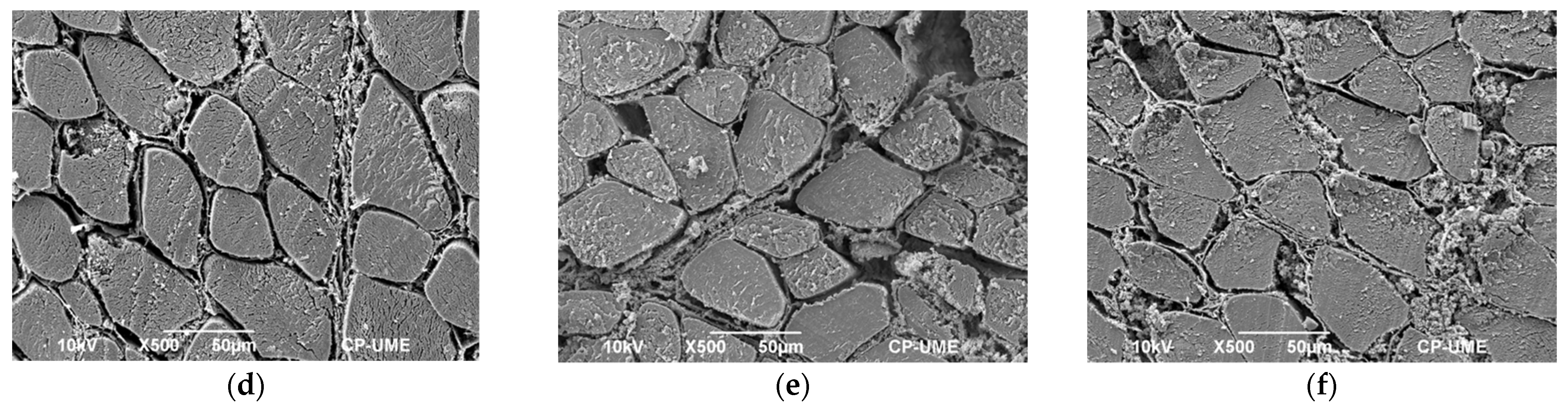 Molecules 27 00541 g003b 550