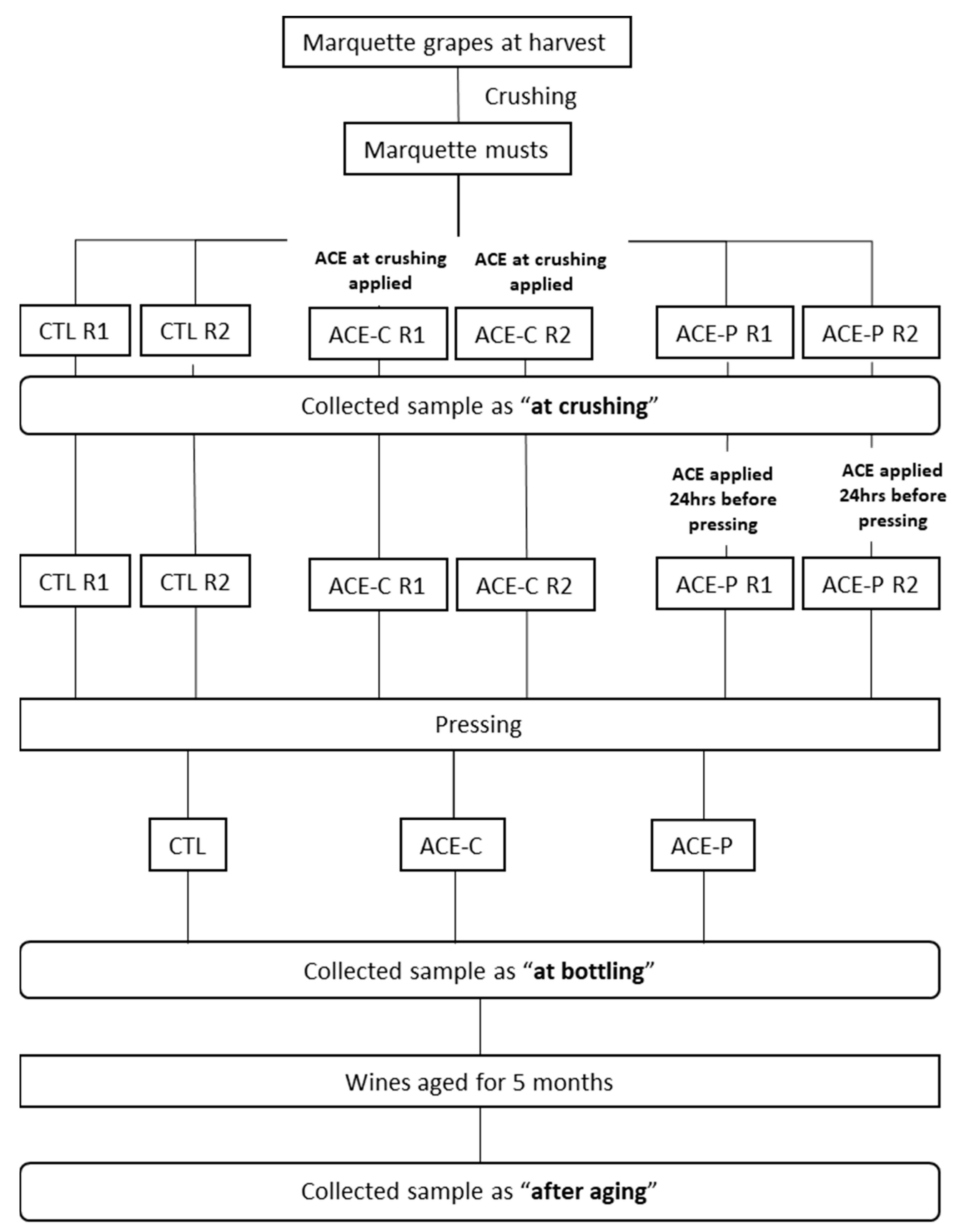 Molecules 27 00542 g004
