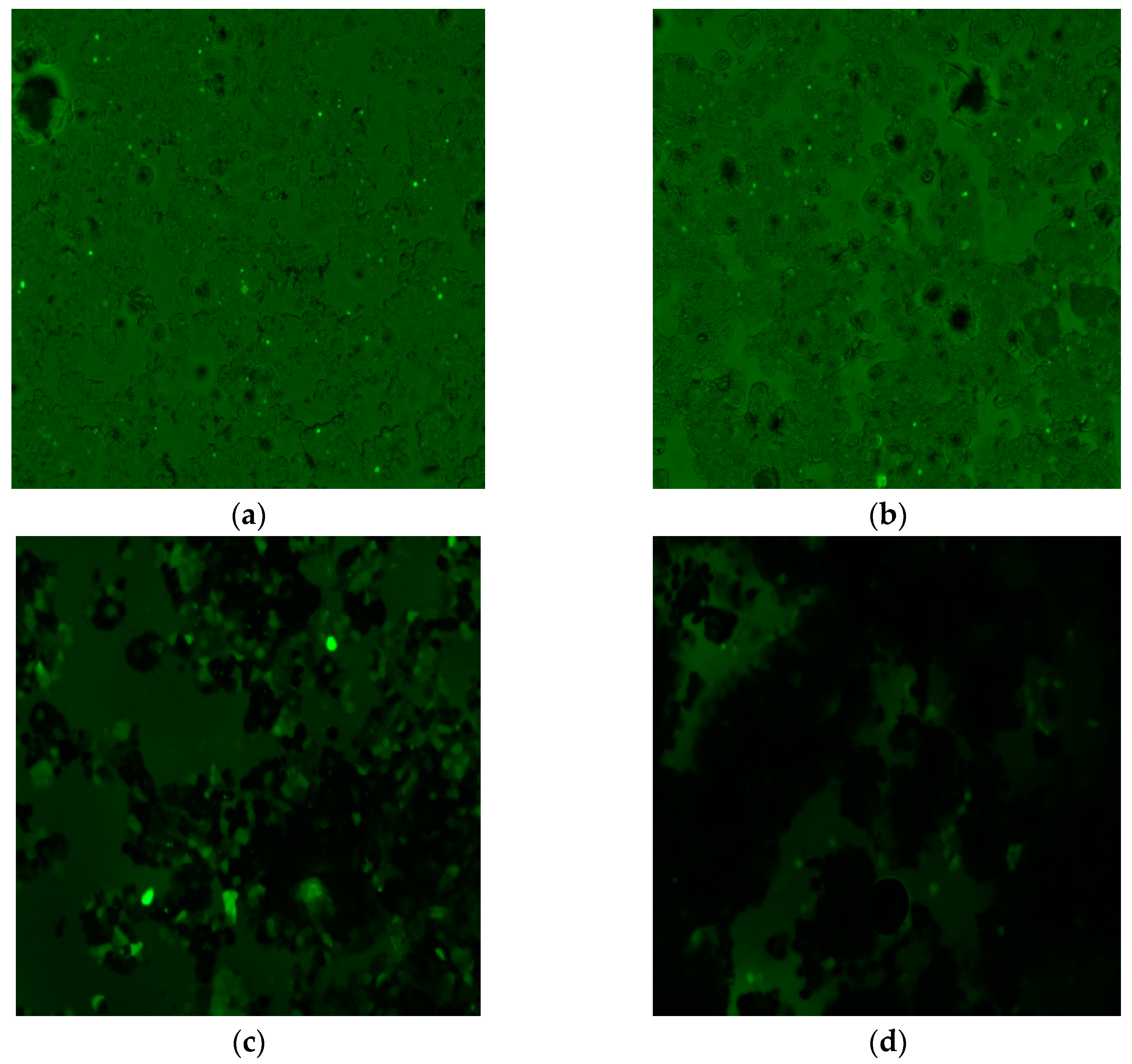 Molecules 27 00544 g007