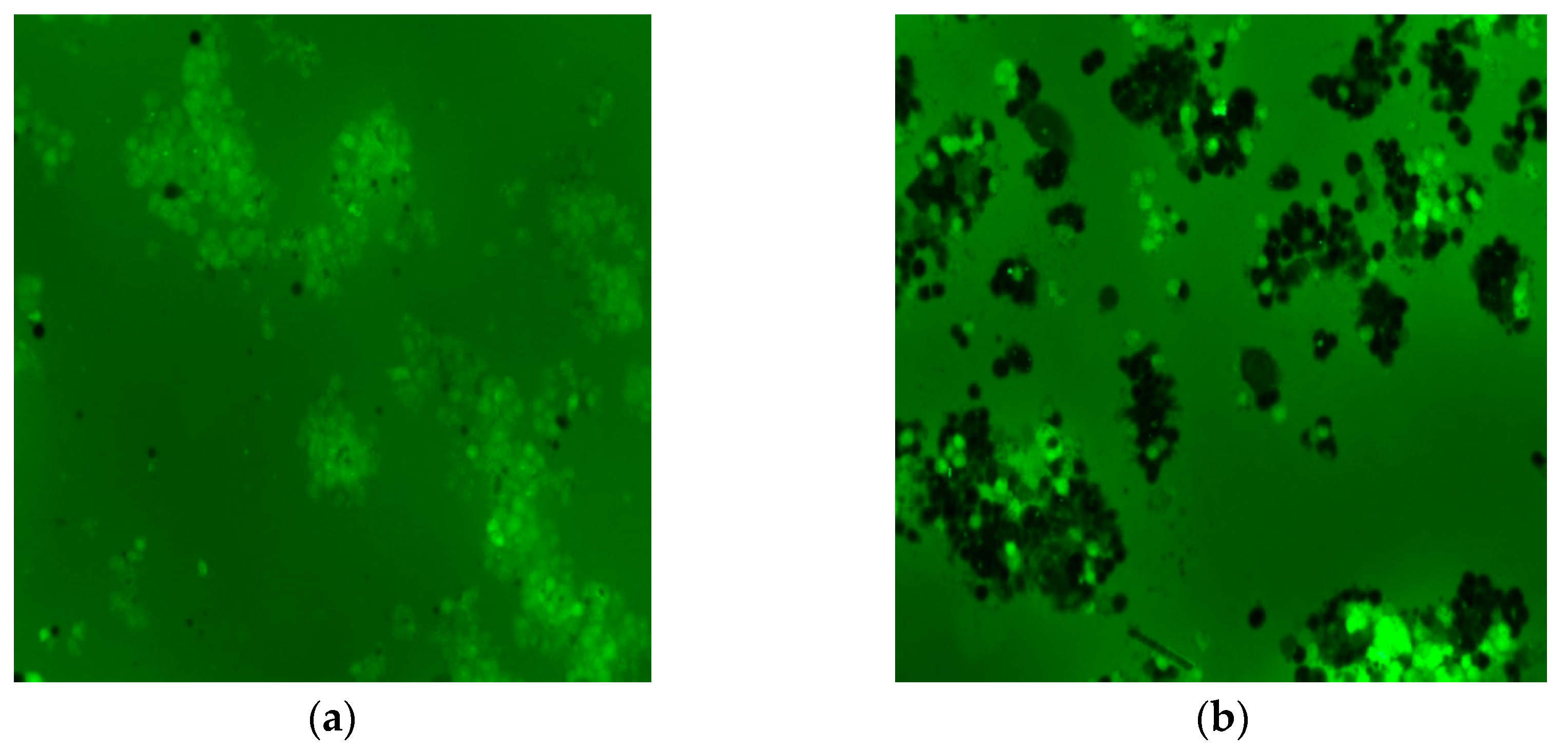 Molecules 27 00544 g008