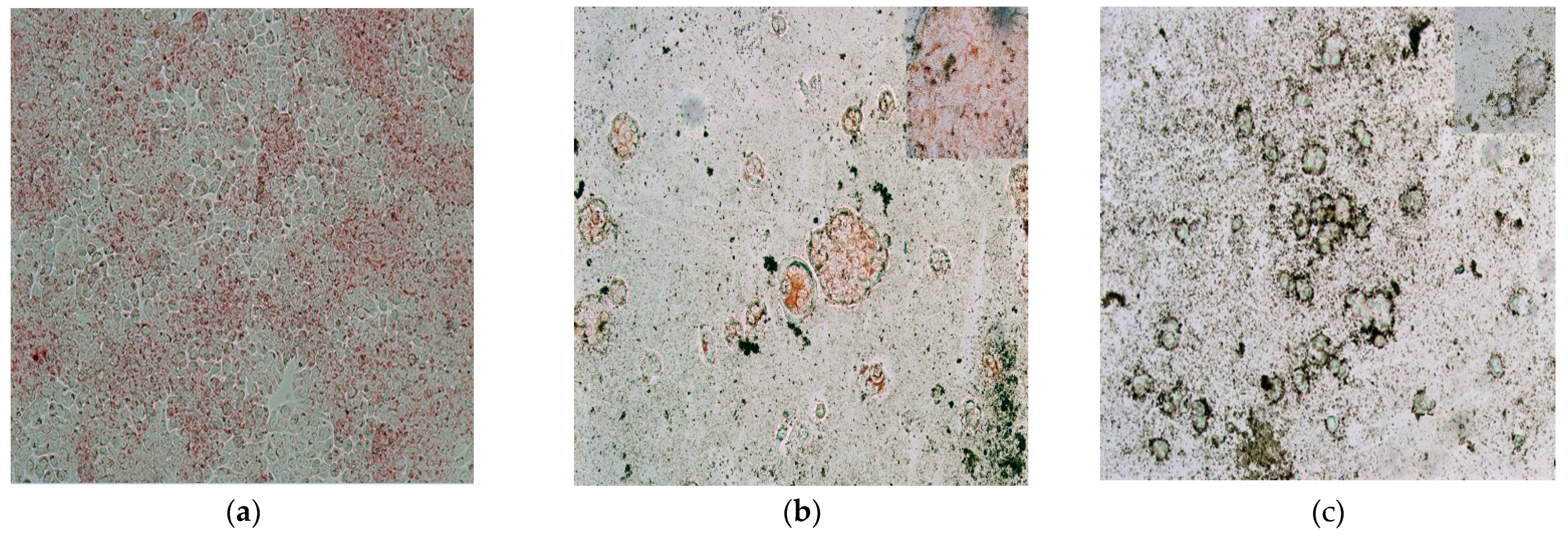 Molecules 27 00544 g010