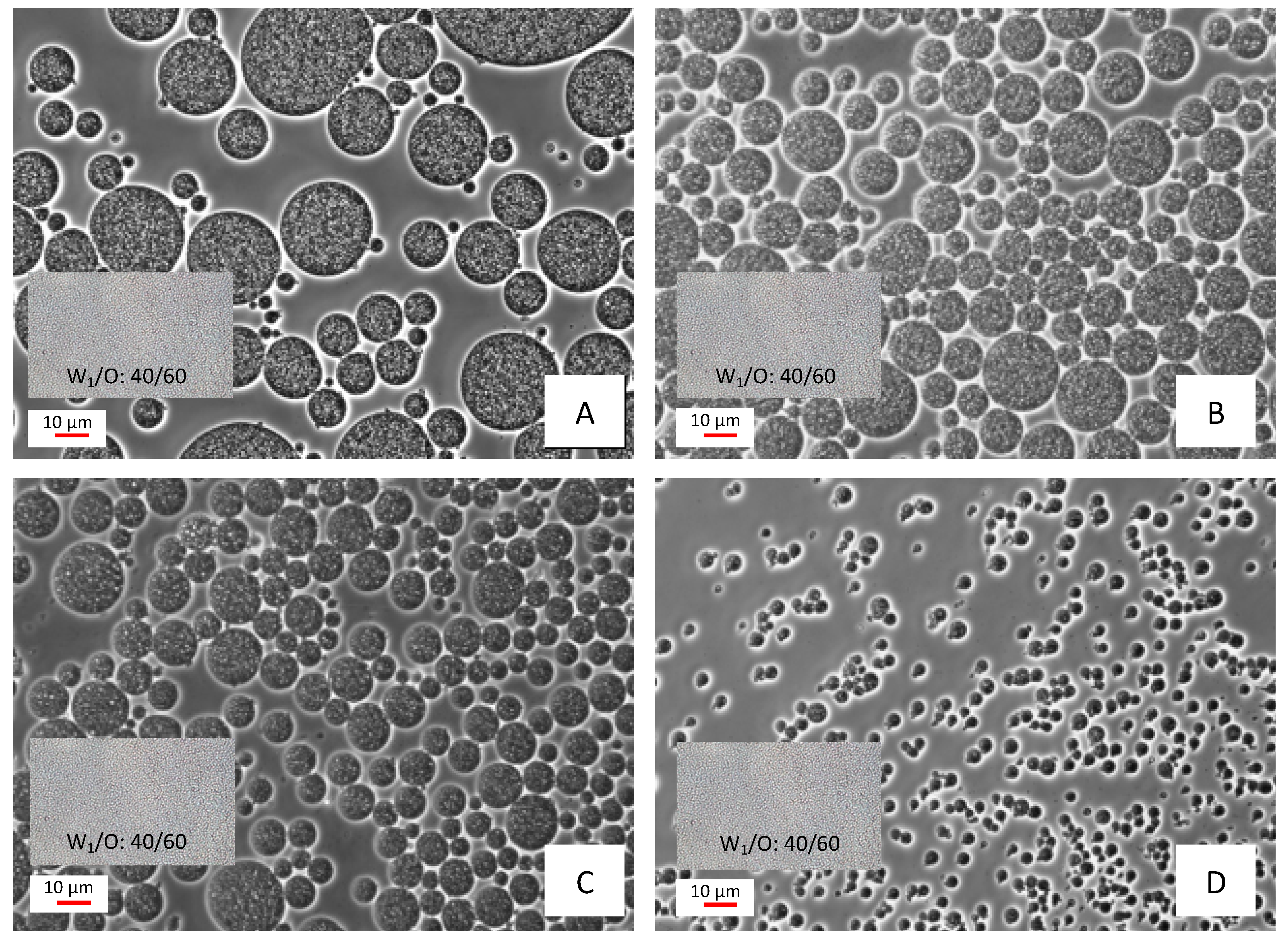 Molecules 27 00552 g001
