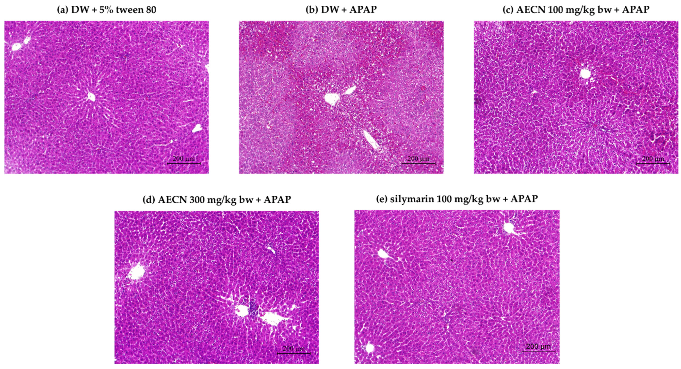 Molecules 27 00553 g003