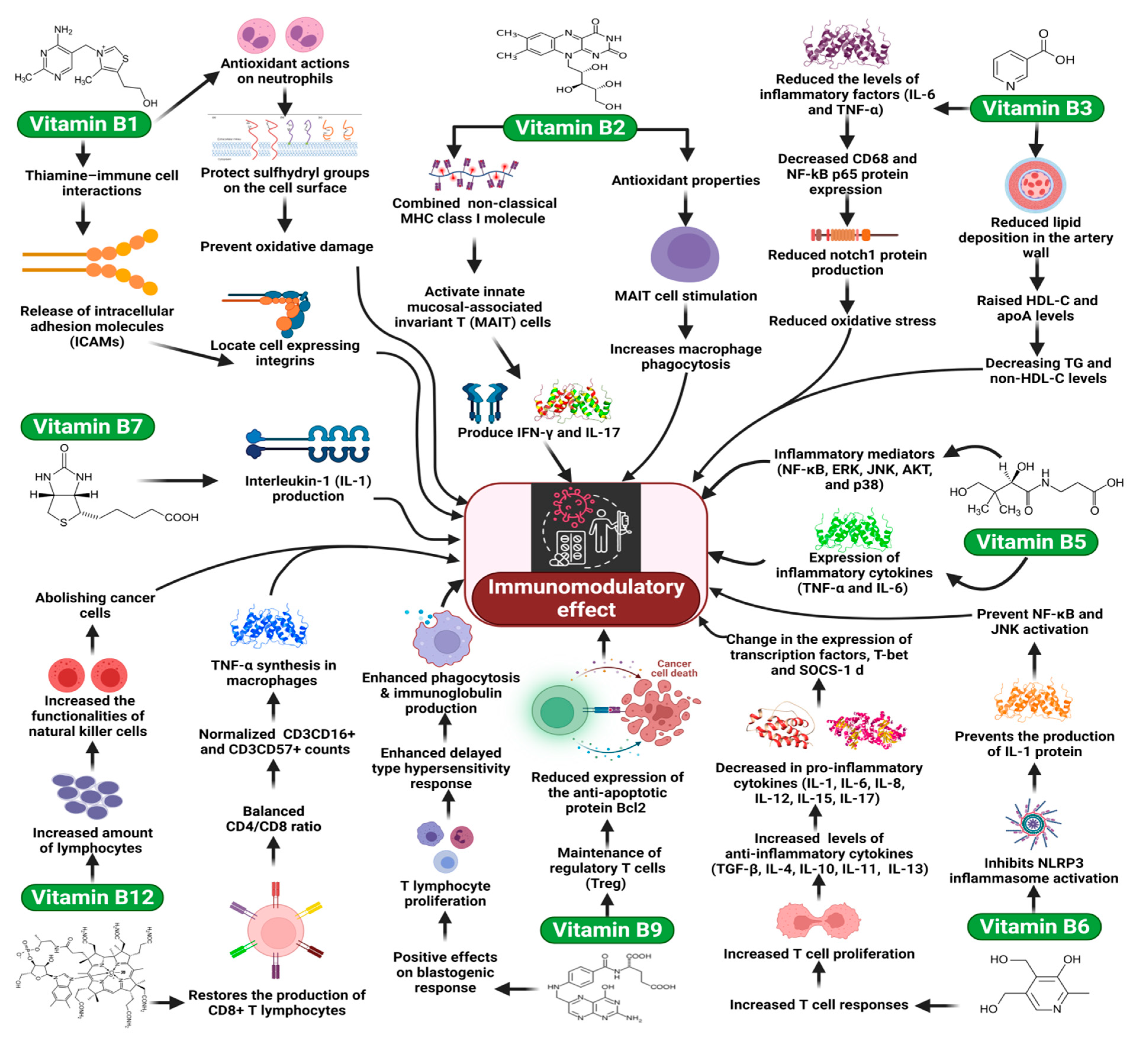 Molecules 27 00555 g001 Molecules 27 00555 g001