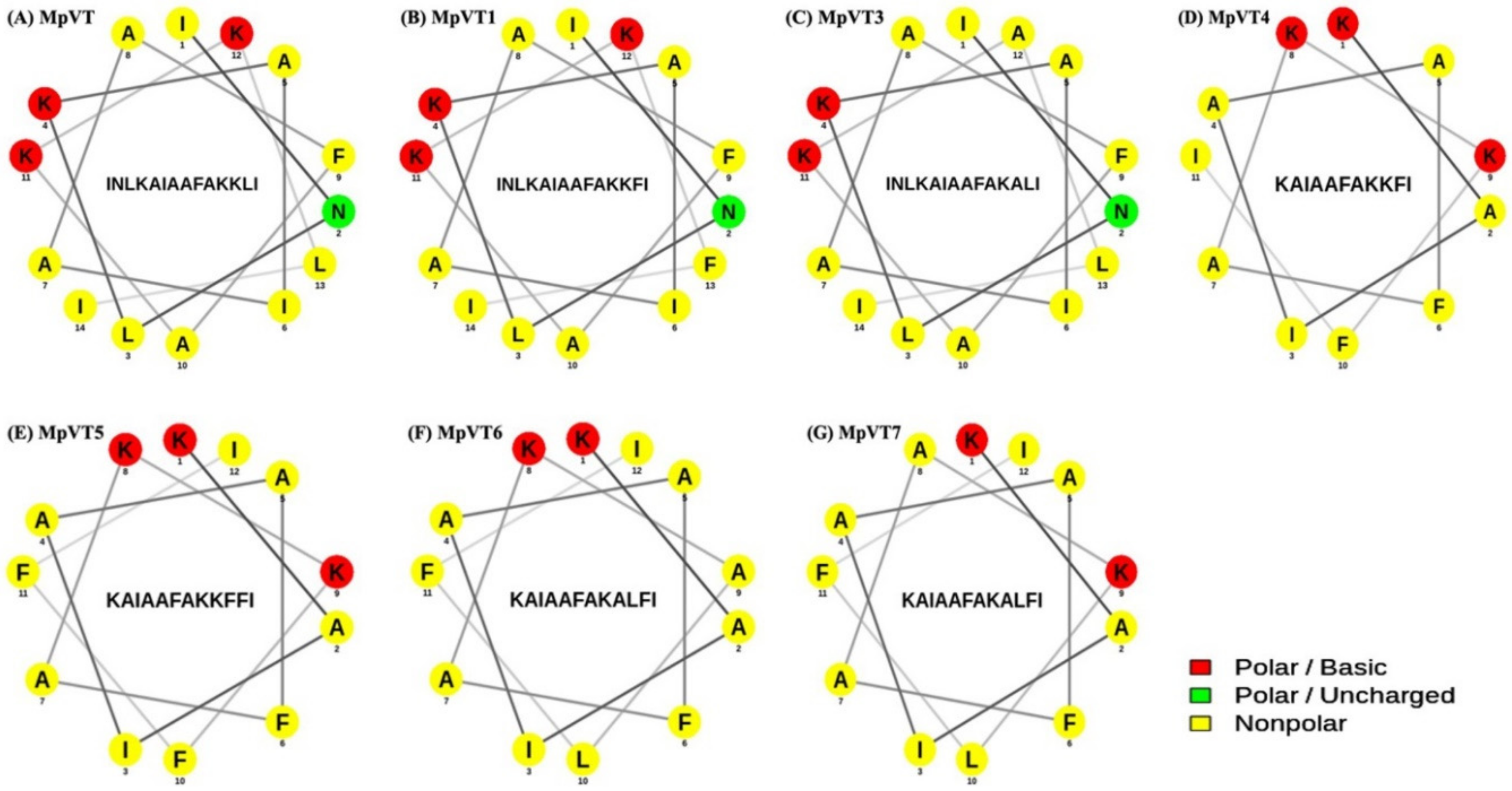 Molecules 27 00561 g002
