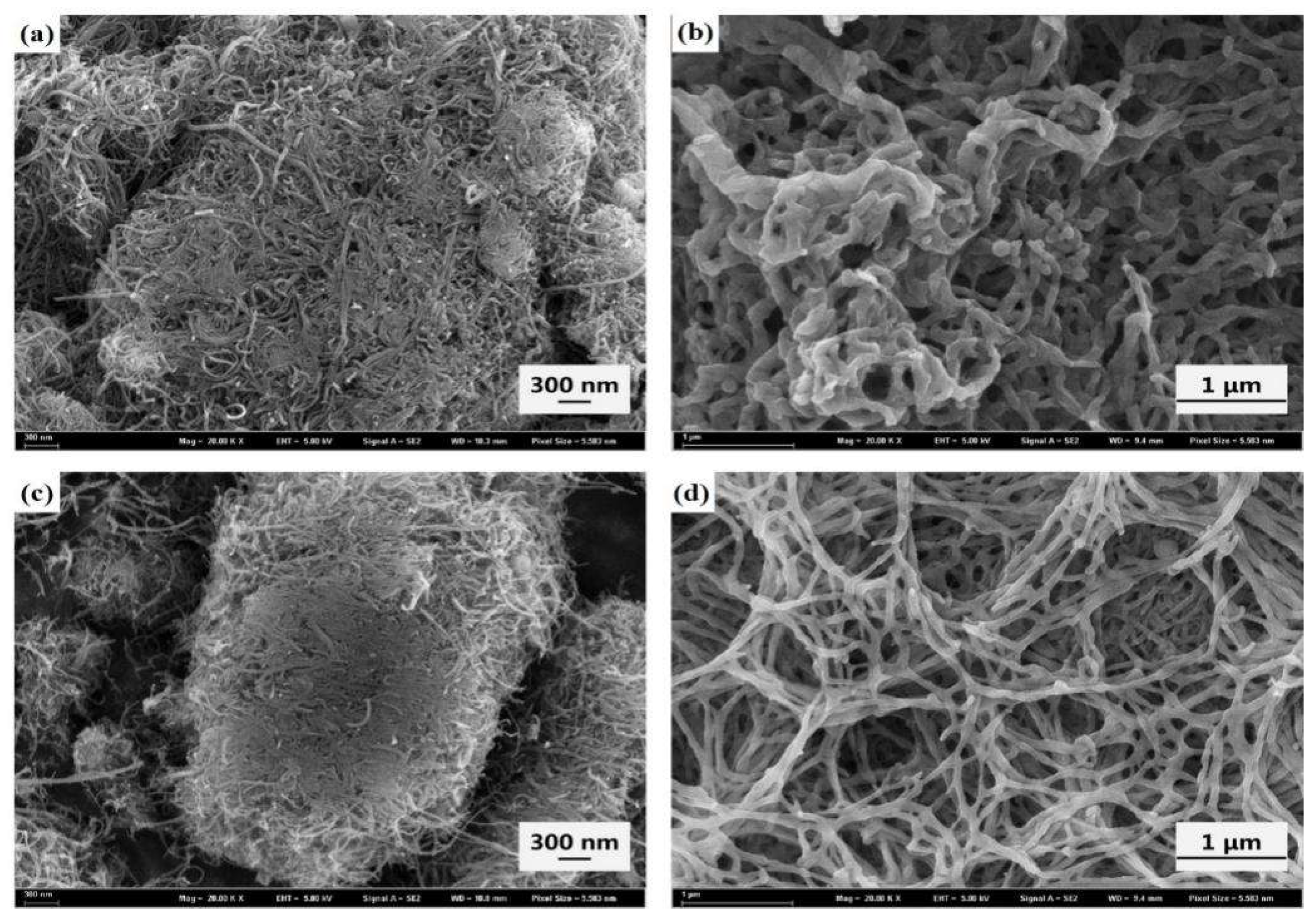 Molecules 27 00562 g001 Molecules 27 00562 g001