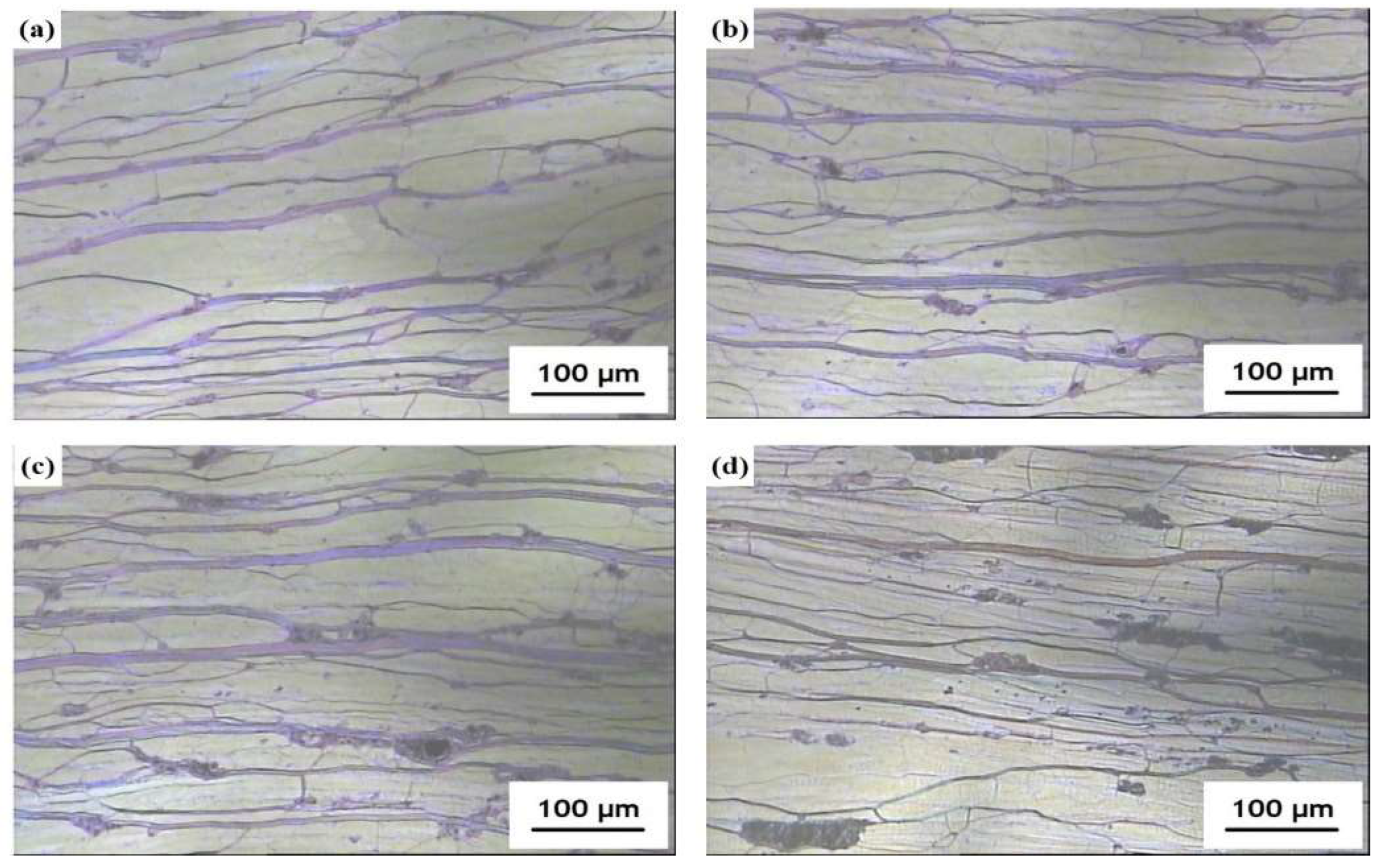 Molecules 27 00562 g002 Molecules 27 00562 g002