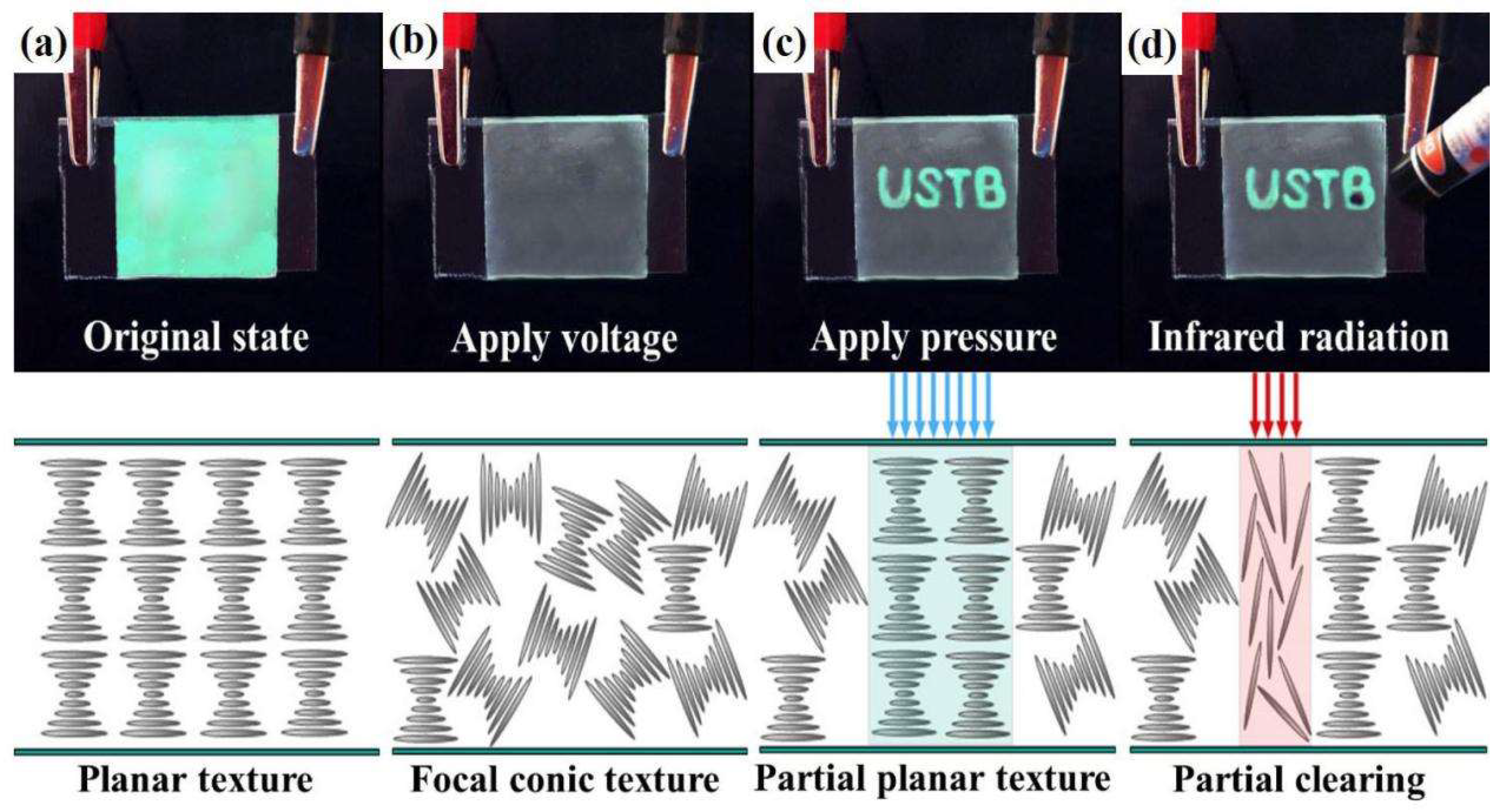 Molecules 27 00562 g005 Molecules 27 00562 g005