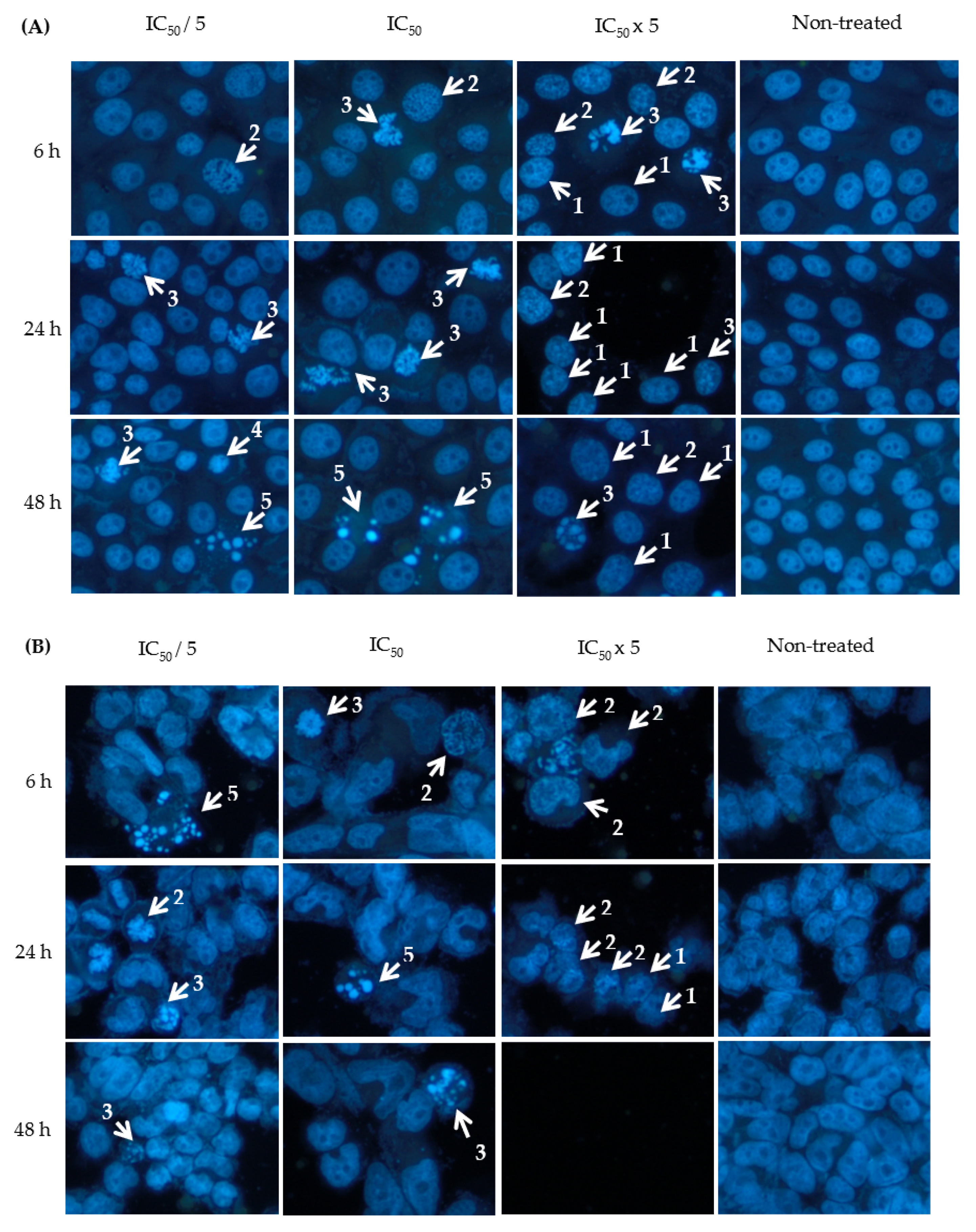 Molecules 27 00585 g003a 550