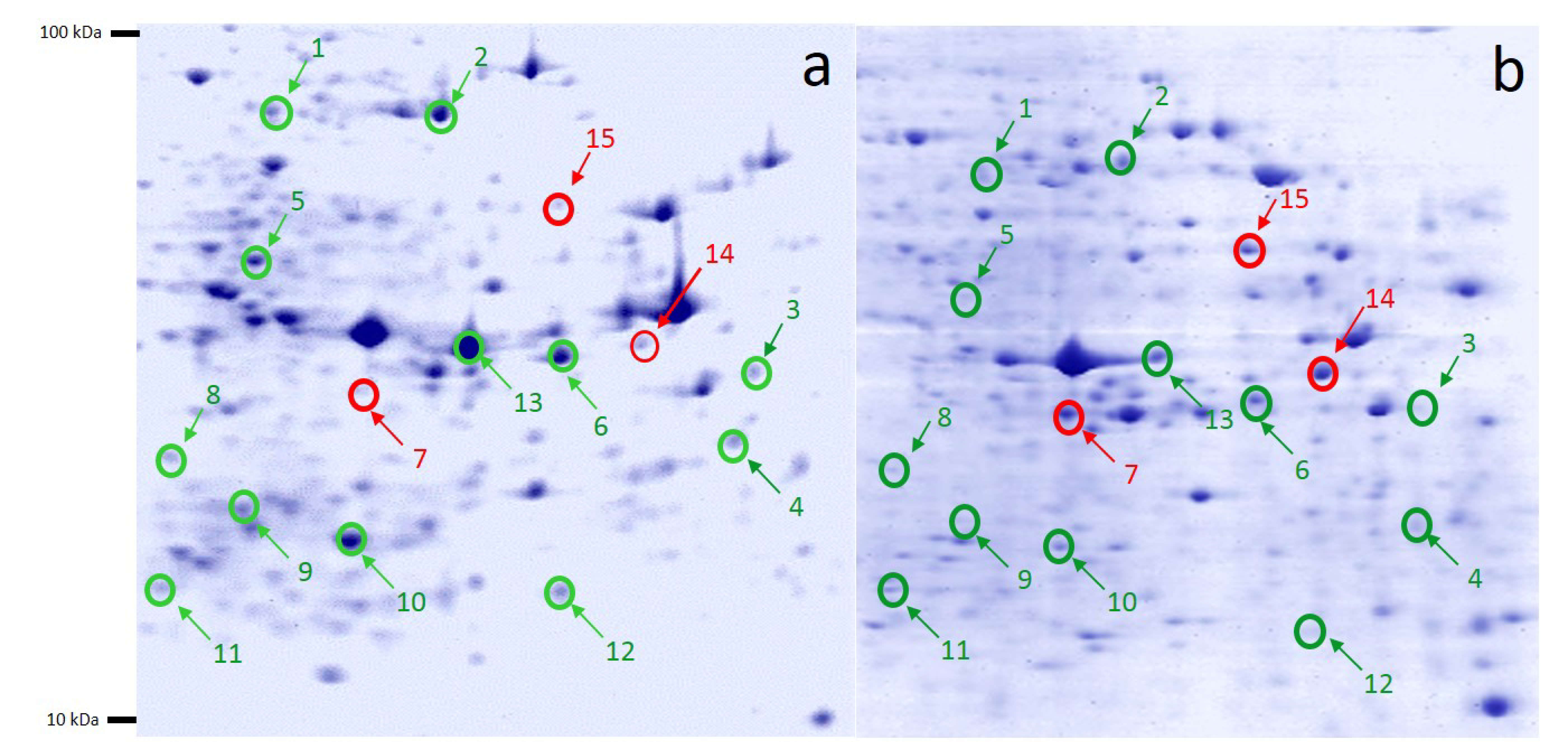 Molecules 27 00585 g004 550