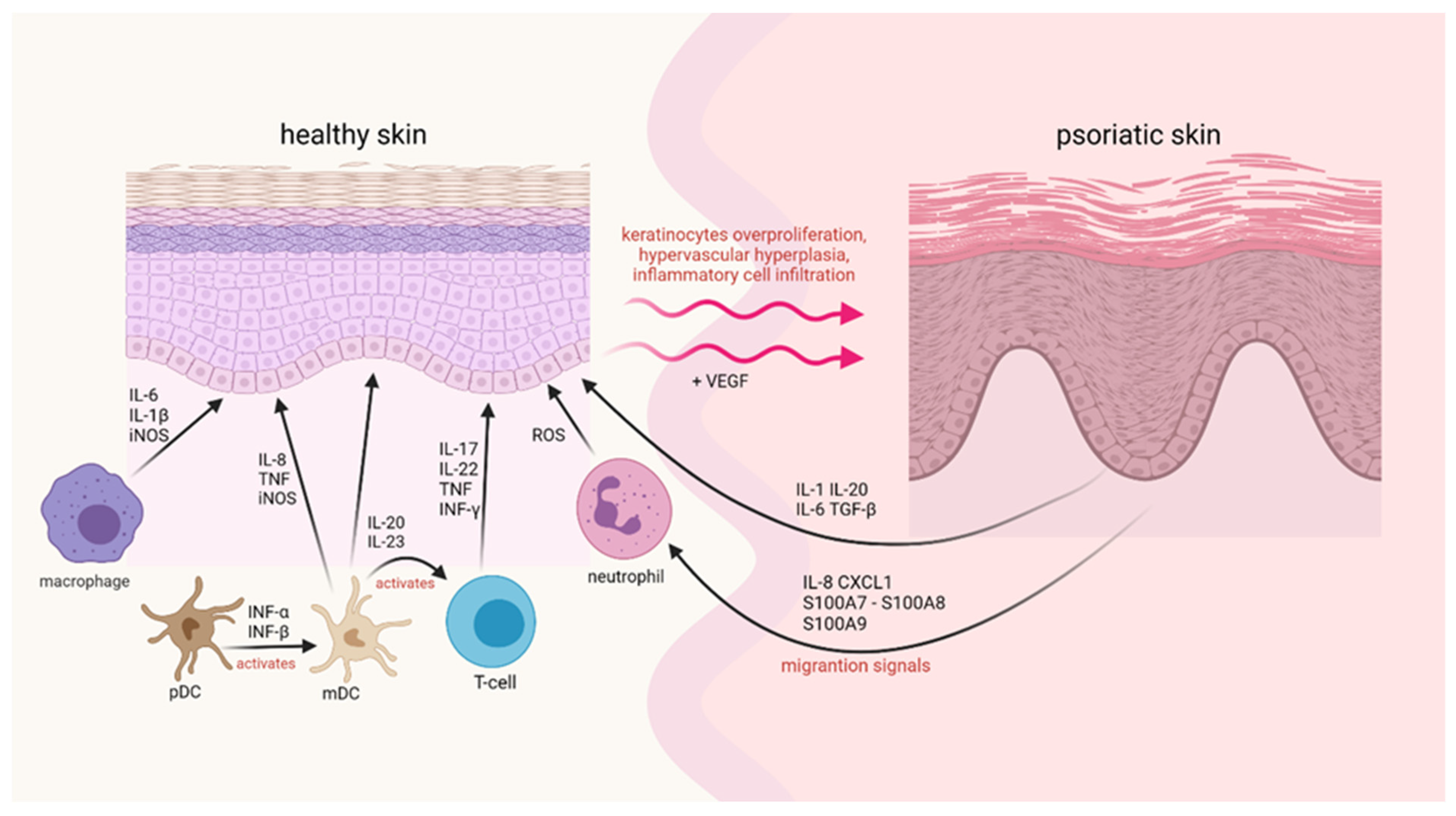 Molecules 27 00591 g001 550