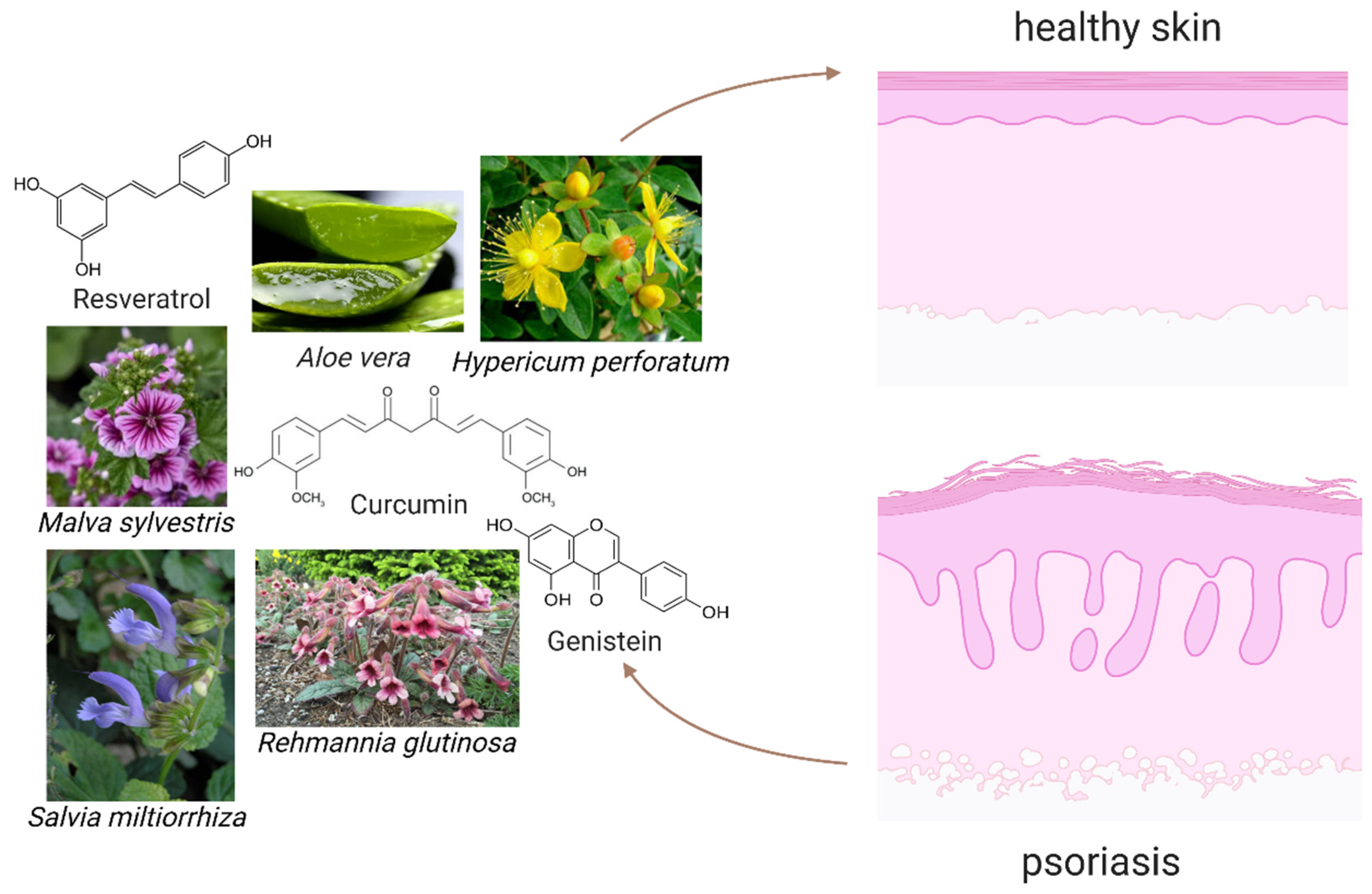 Molecules 27 00591 g002 550