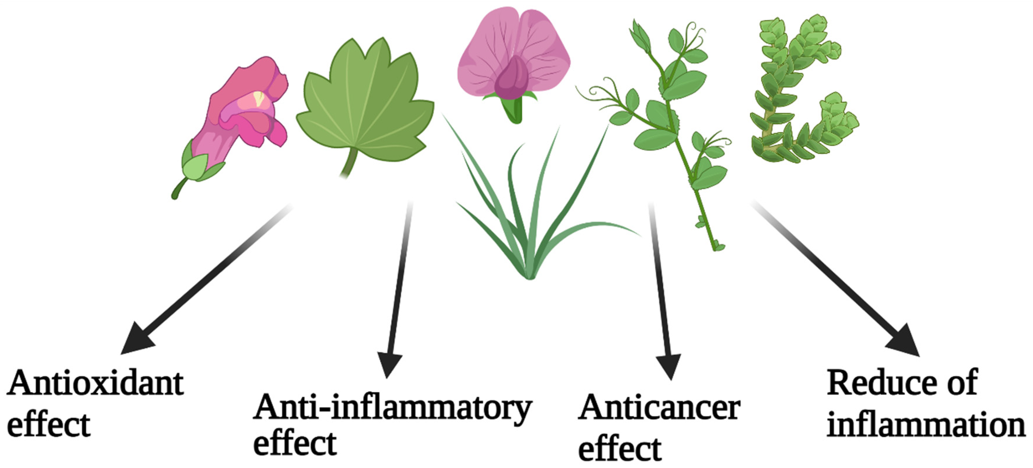 Molecules 27 00591 g003 550