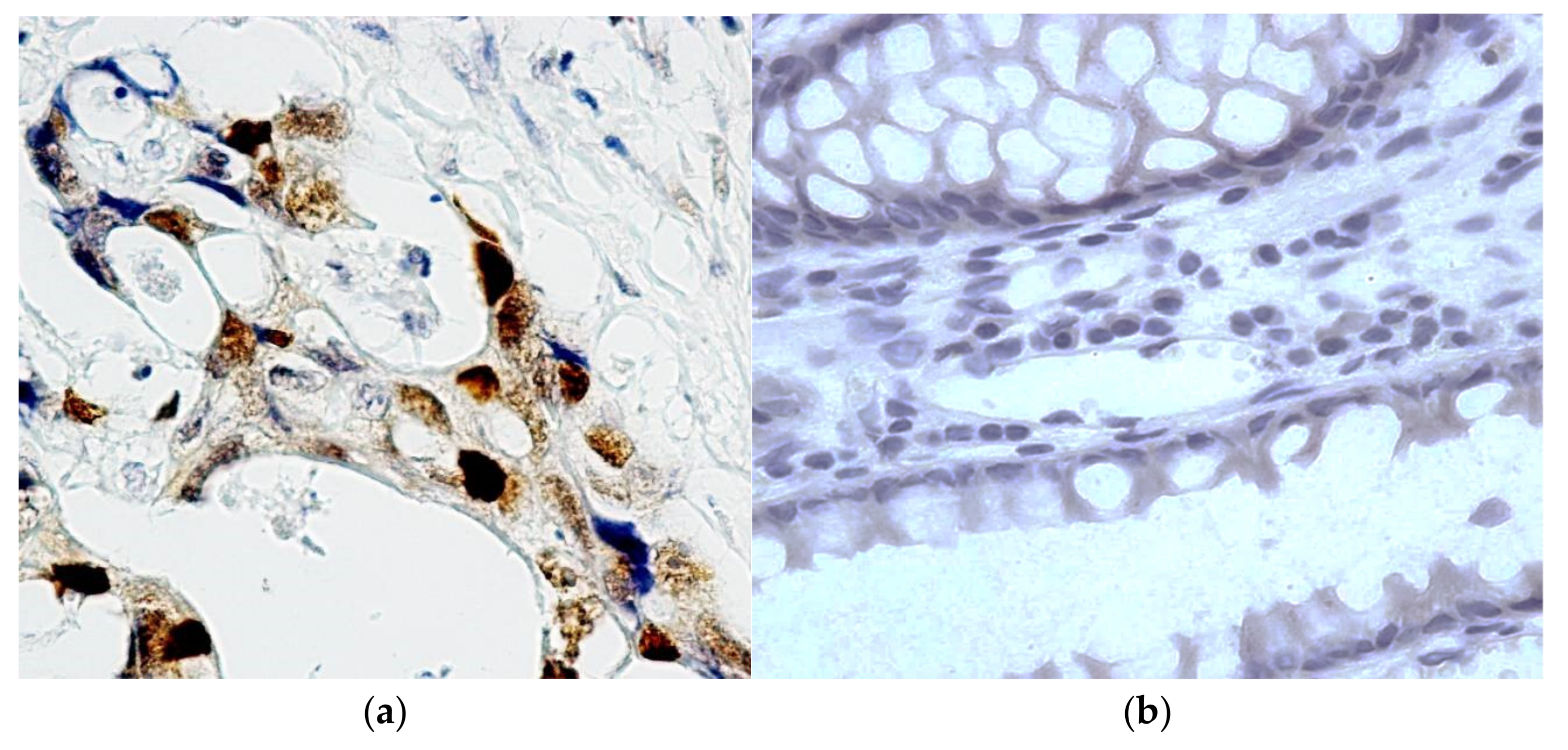 Molecules 27 00596 g001