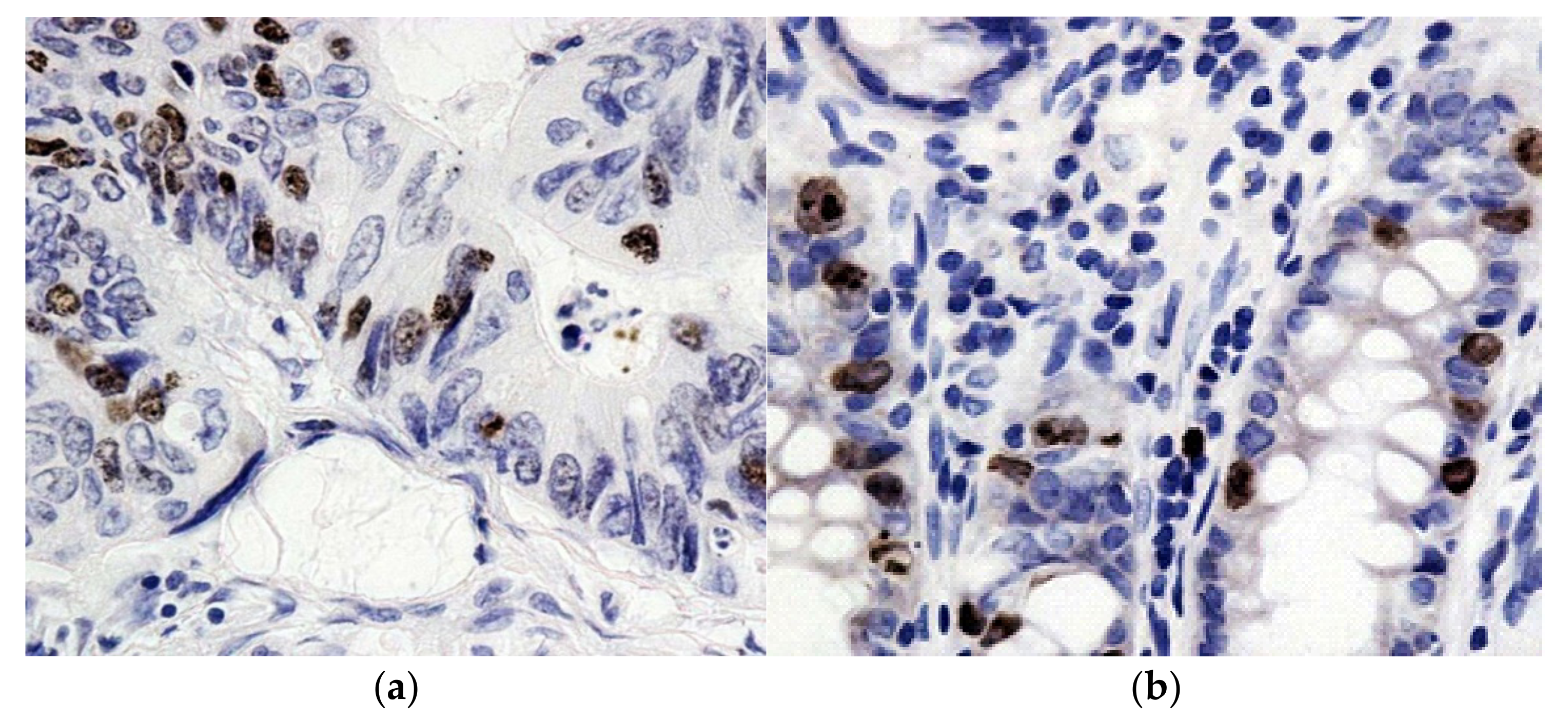 Molecules 27 00596 g002