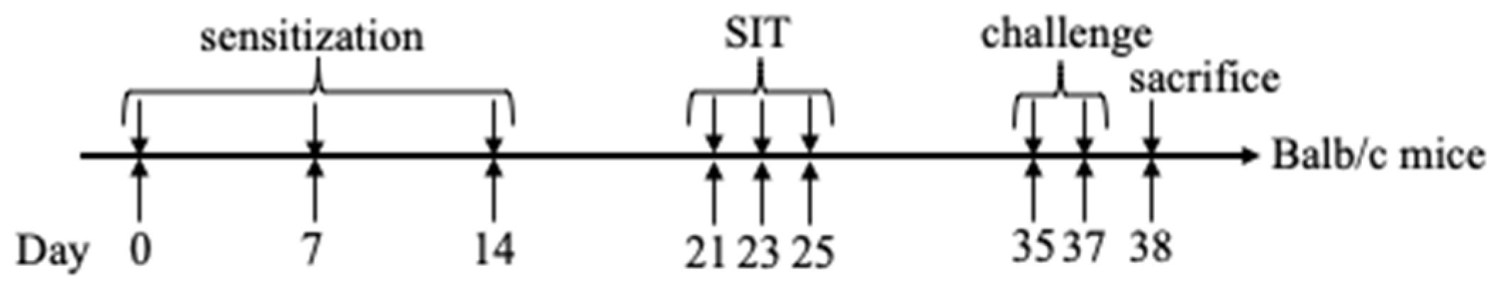 Molecules 27 00598 g008