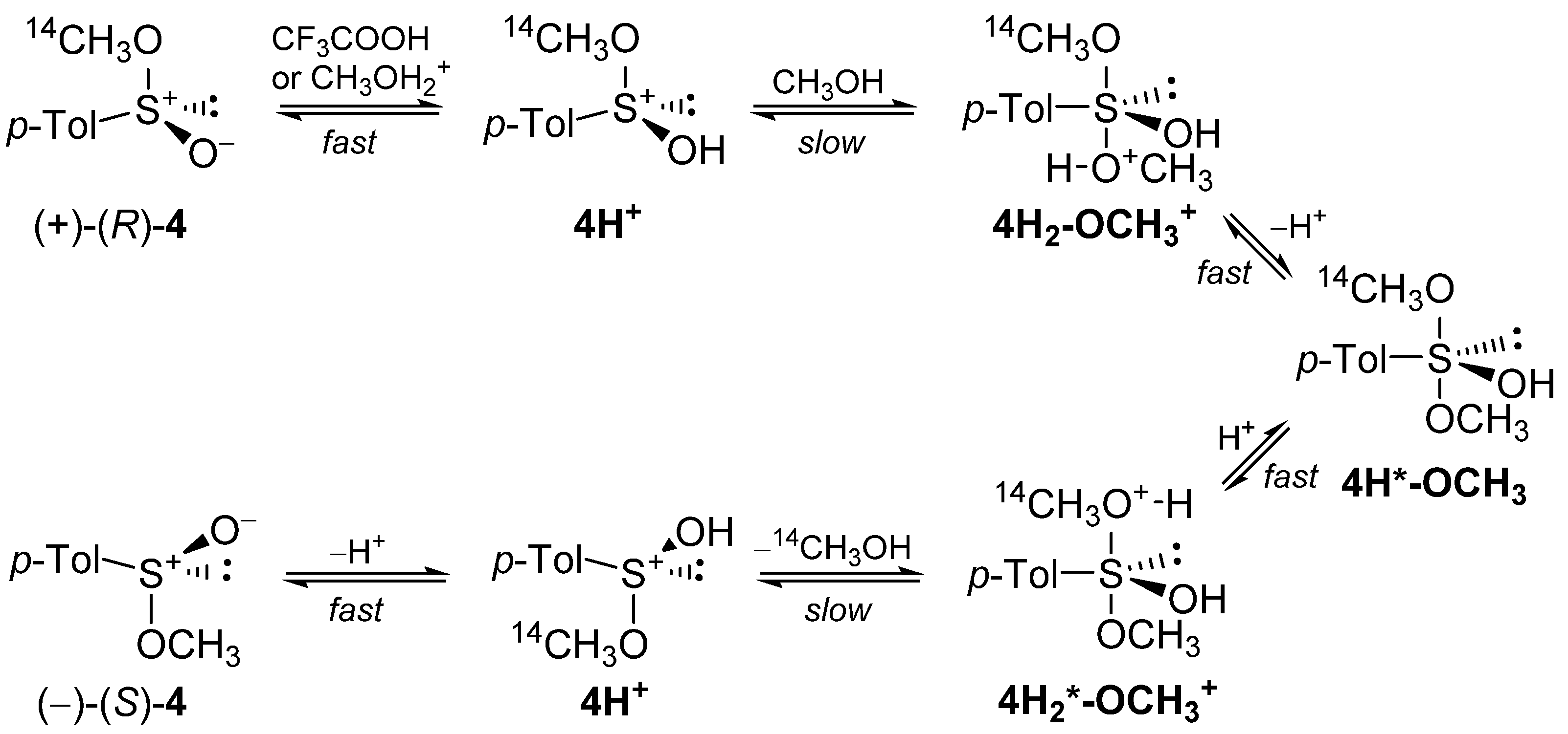 Molecules 27 00599 sch011 550