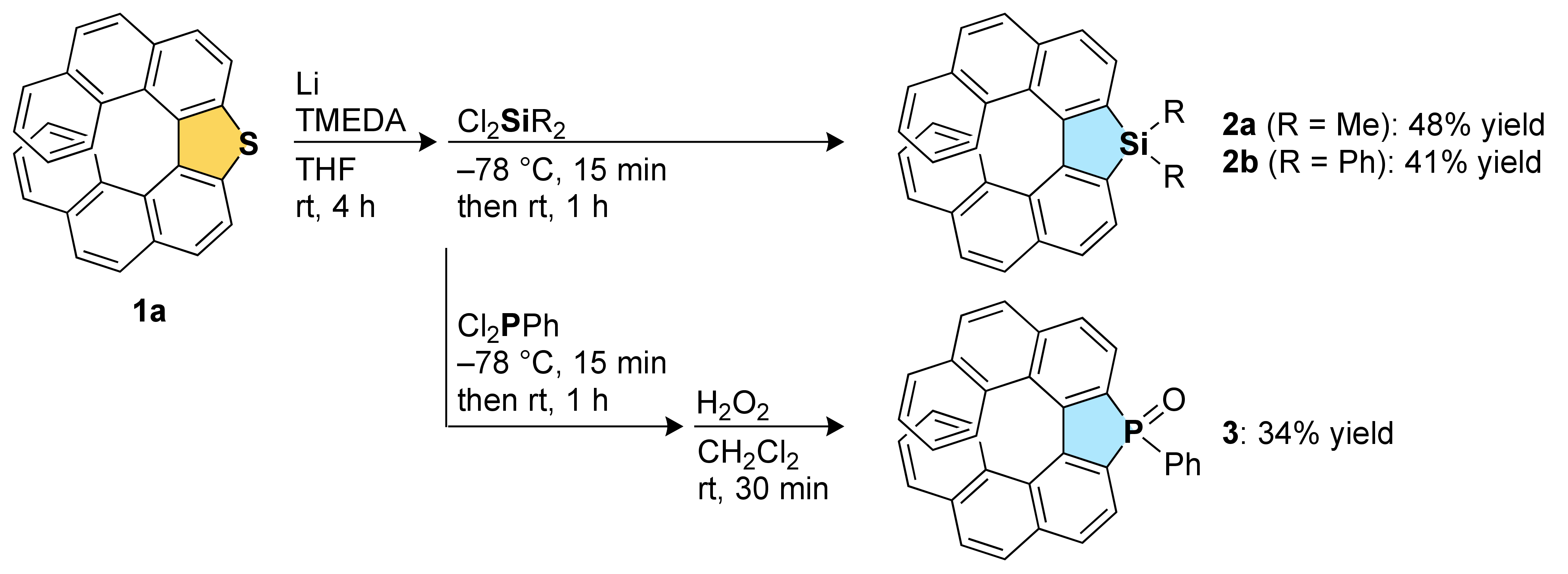 Molecules 27 00606 sch001