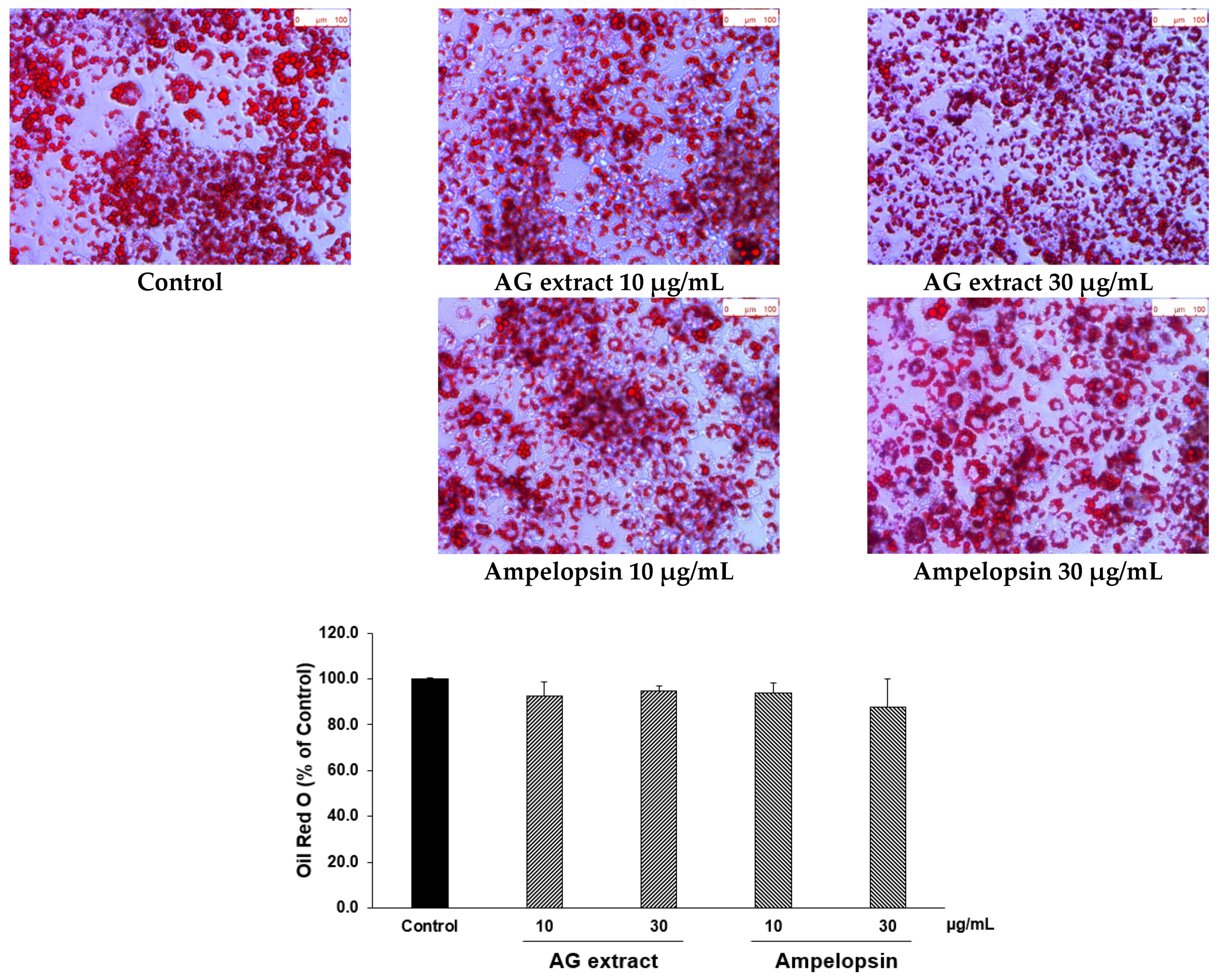 Molecules 27 00607 g005