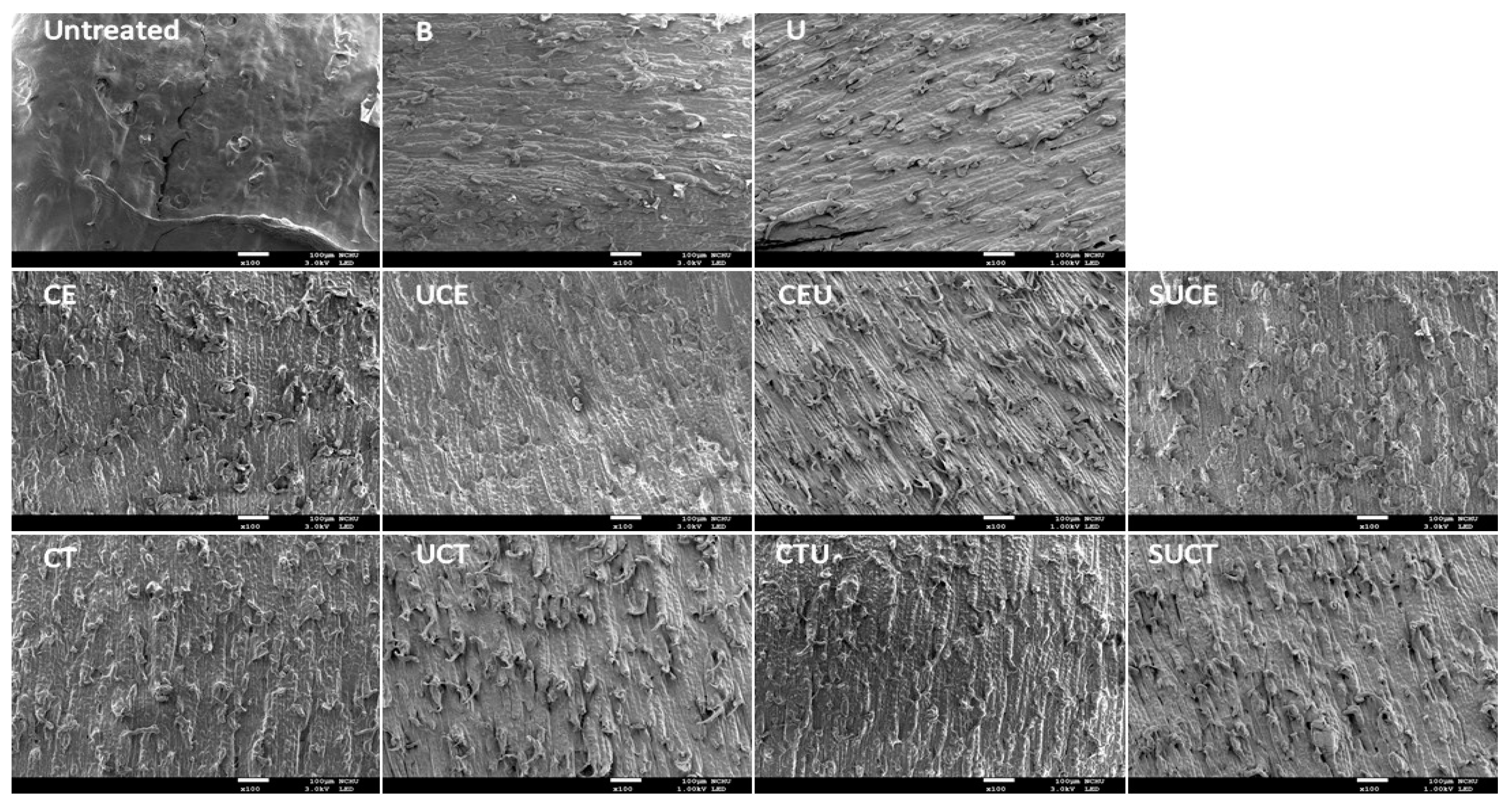 Molecules 27 00612 g002 Molecules 27 00612 g002