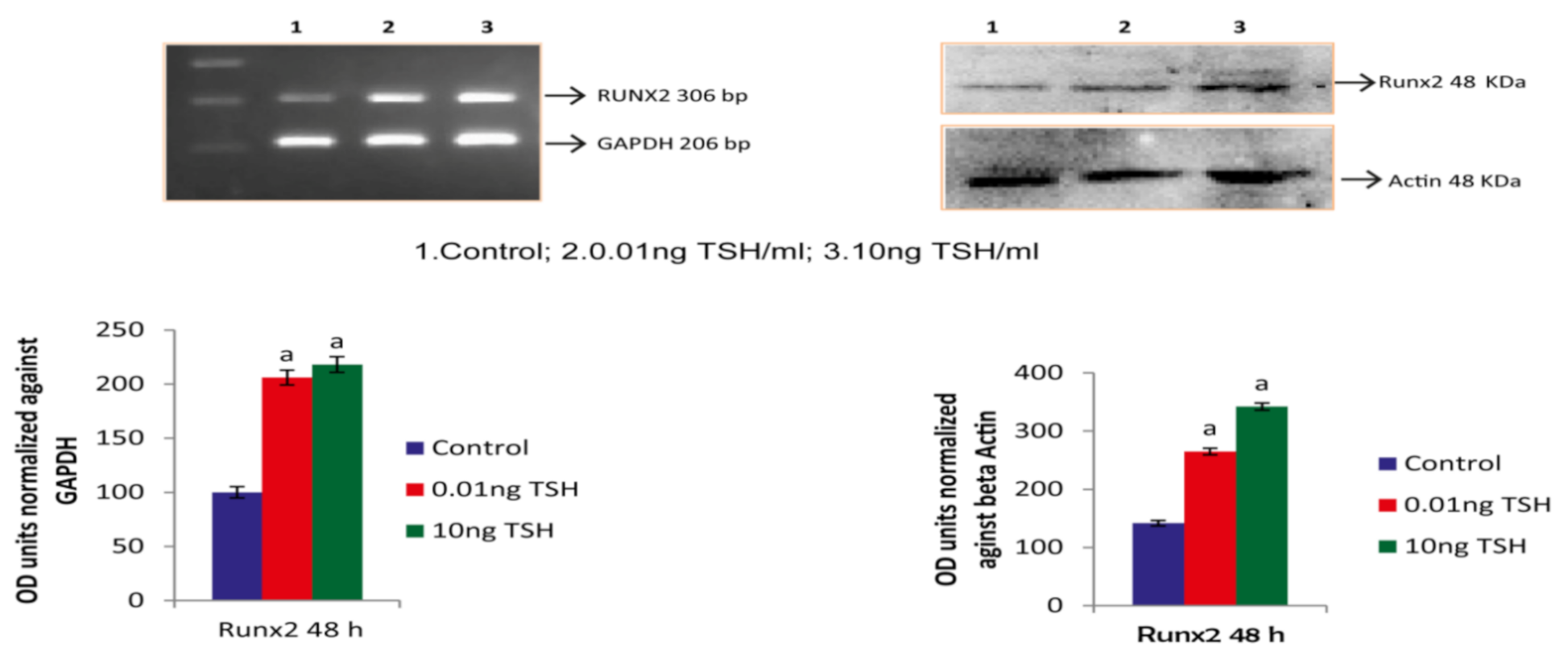 Molecules 27 00613 g001 Molecules 27 00613 g001