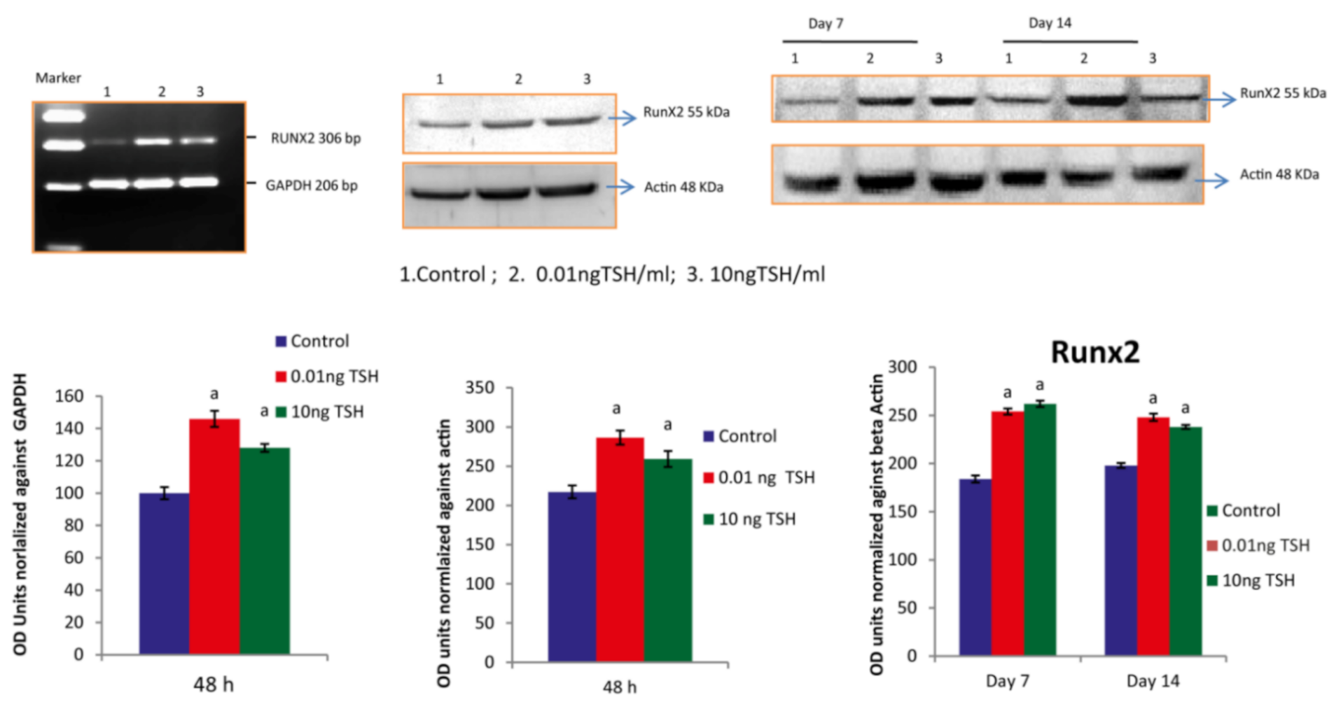 Molecules 27 00613 g002 Molecules 27 00613 g002