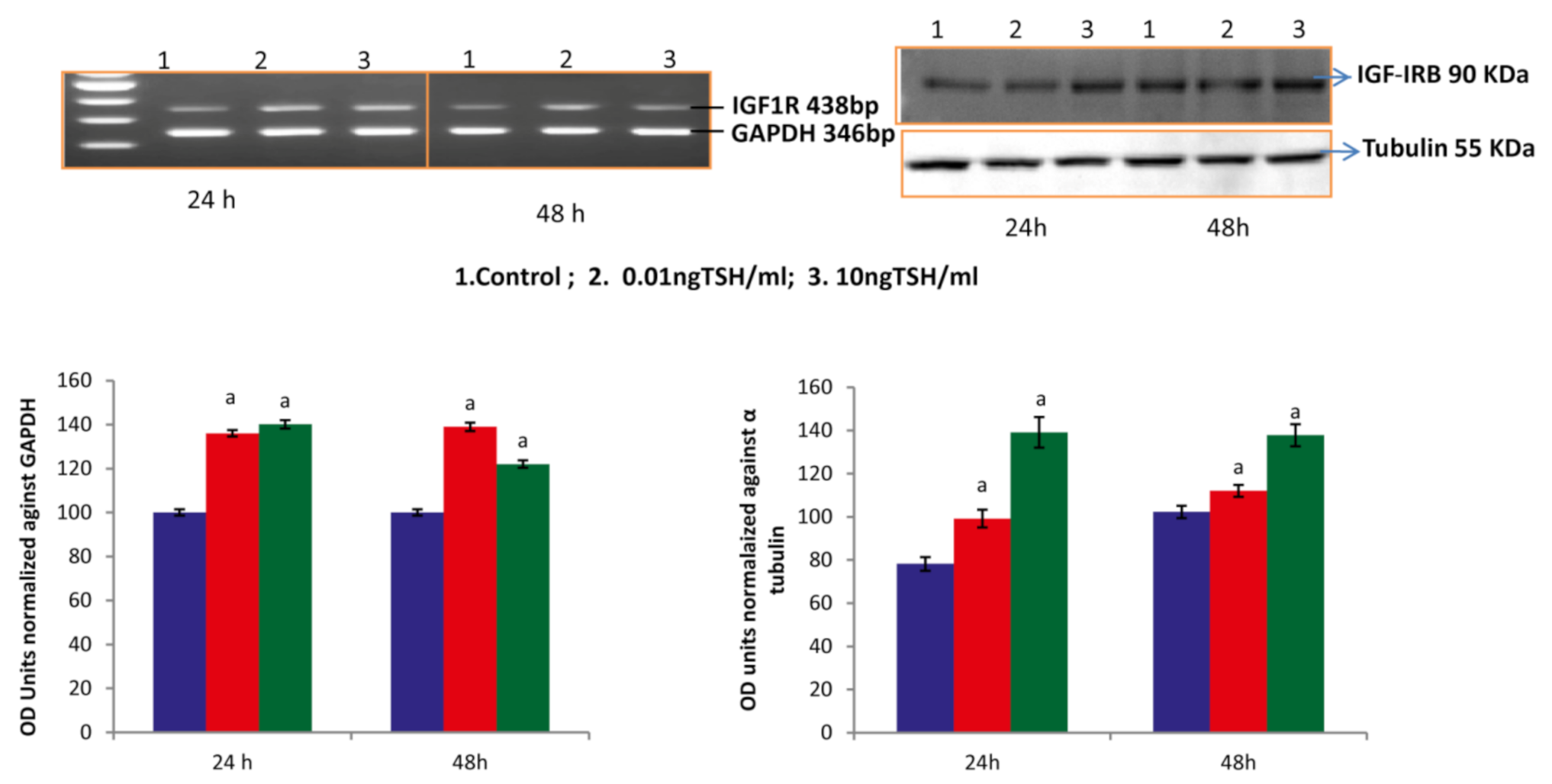 Molecules 27 00613 g003 Molecules 27 00613 g003